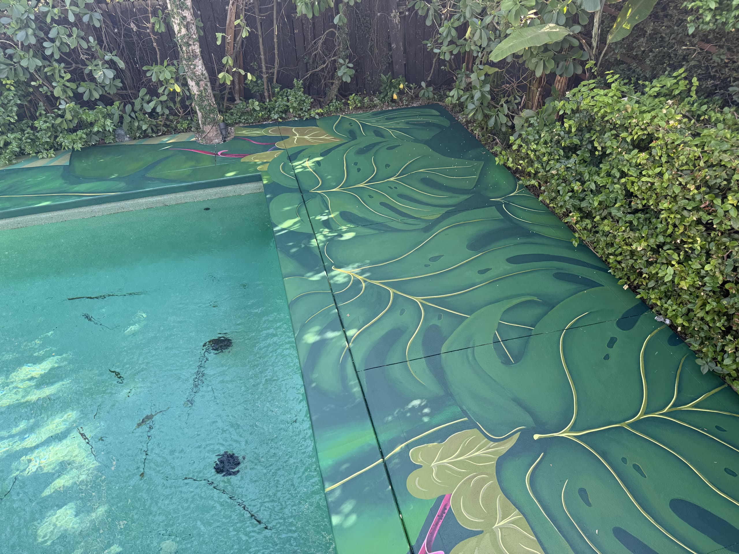 Emerald Canopy Embracing Tranquil Waters