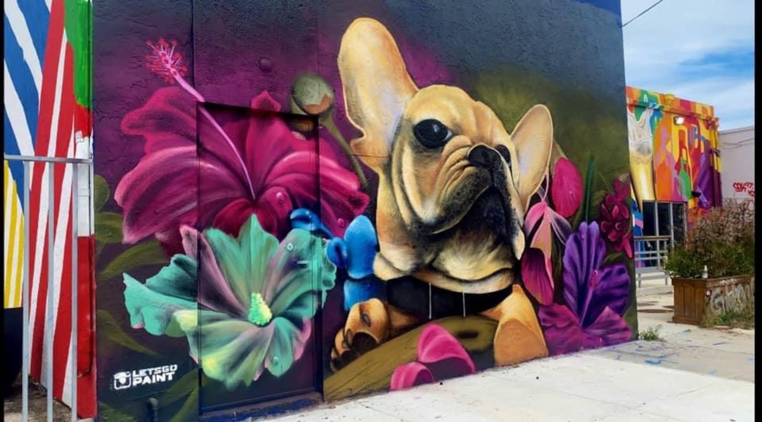 Lola by Matt Letrs