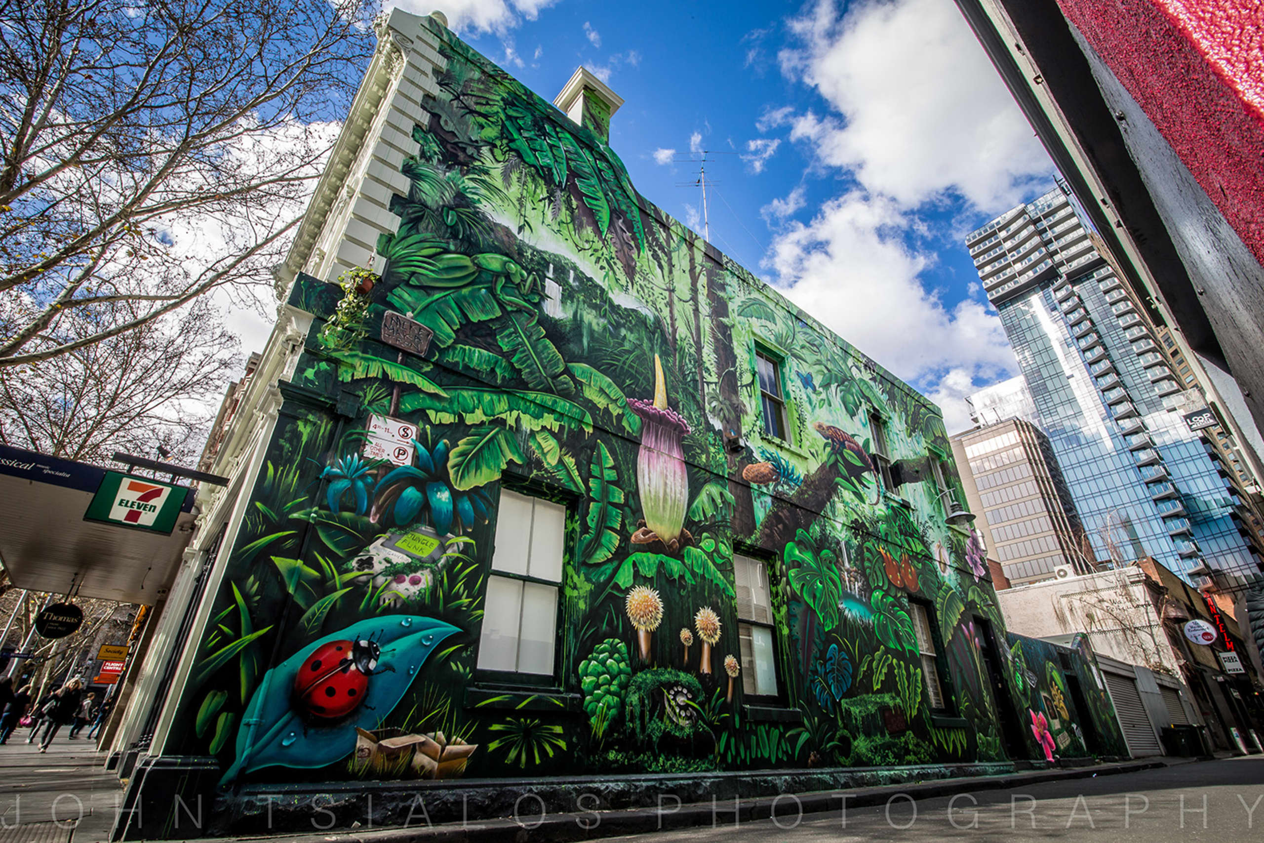 Urban Jungle: Nature's Embrace in the City by Mike Maka