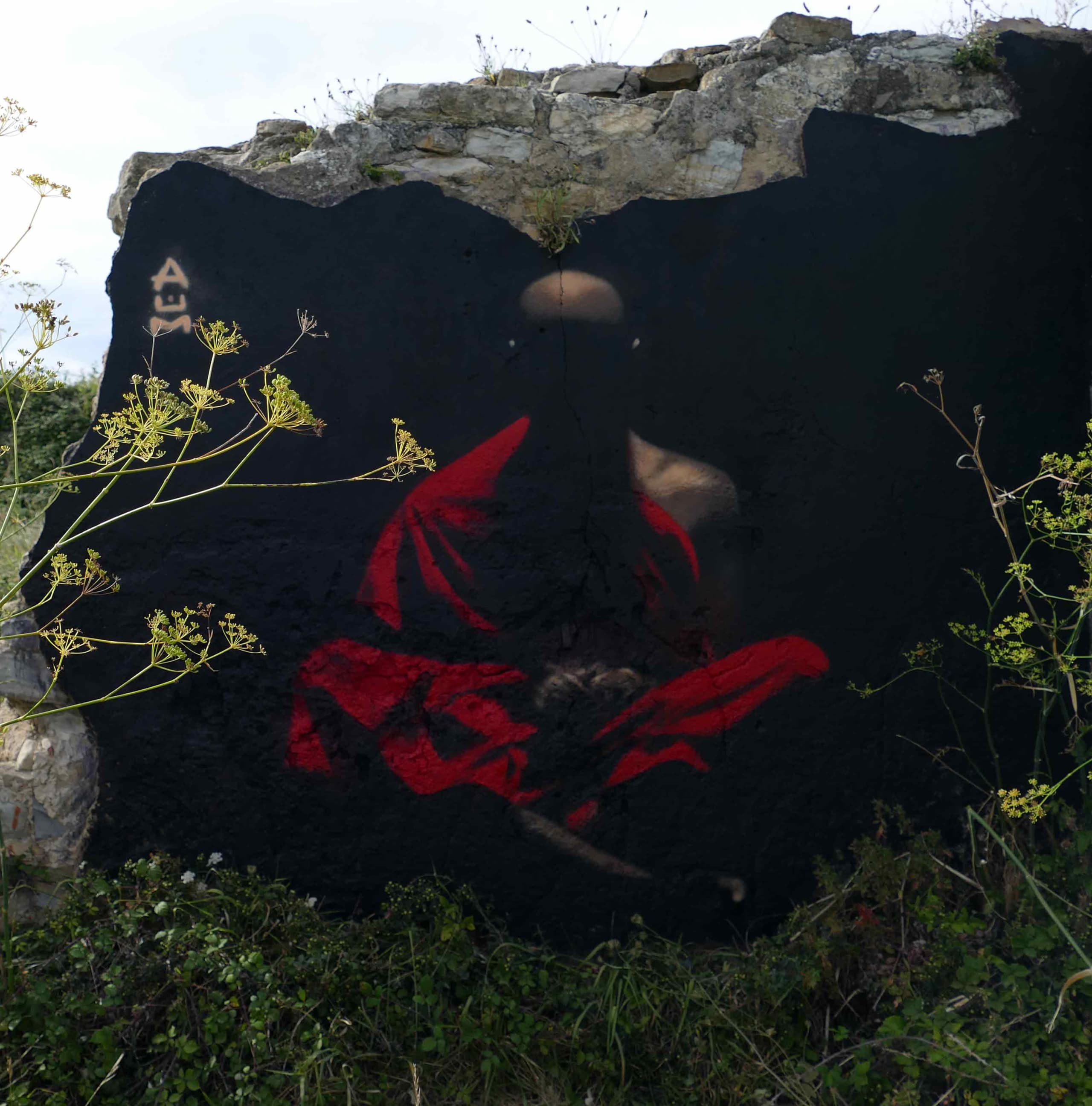Silent Reverie in Crimson Shadows by Victor Landeta