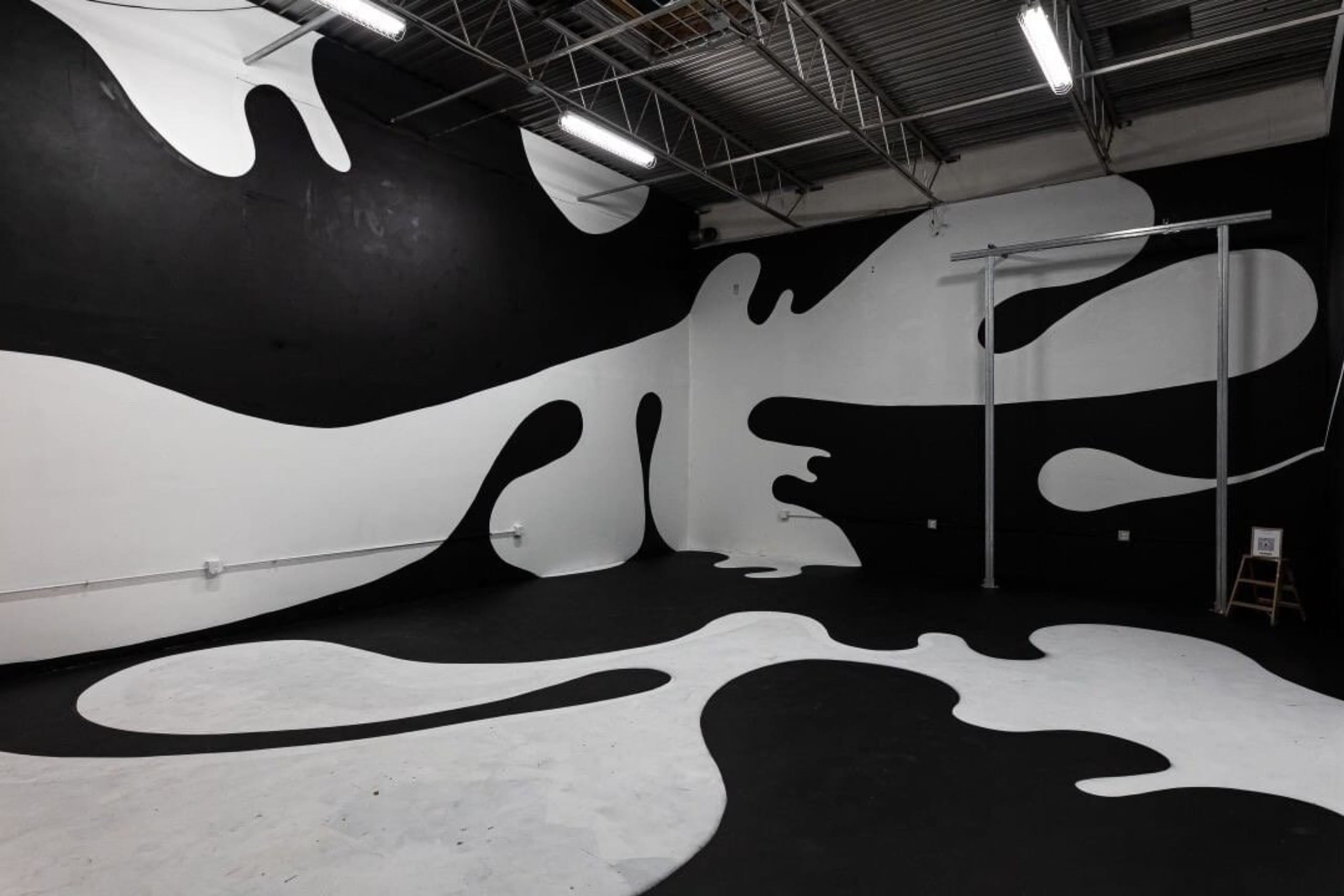 Fluid Shadows in Monochrome Harmony by Johnny Draco
