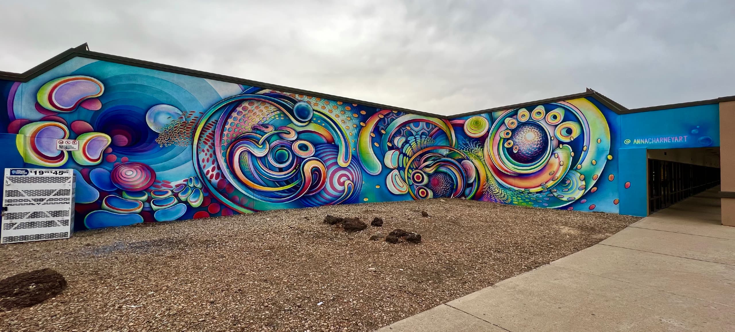 Cosmic Whirl of Colorful Dreams by Anna Charney