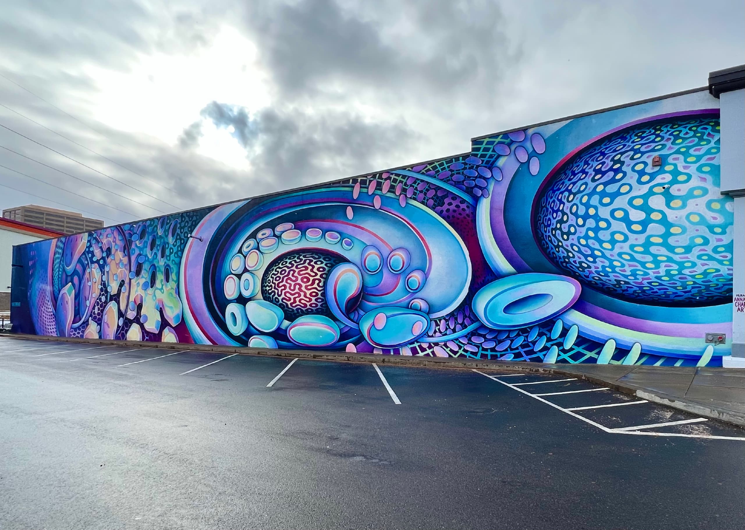 Cosmic Currents of Color and Form by Anna Charney