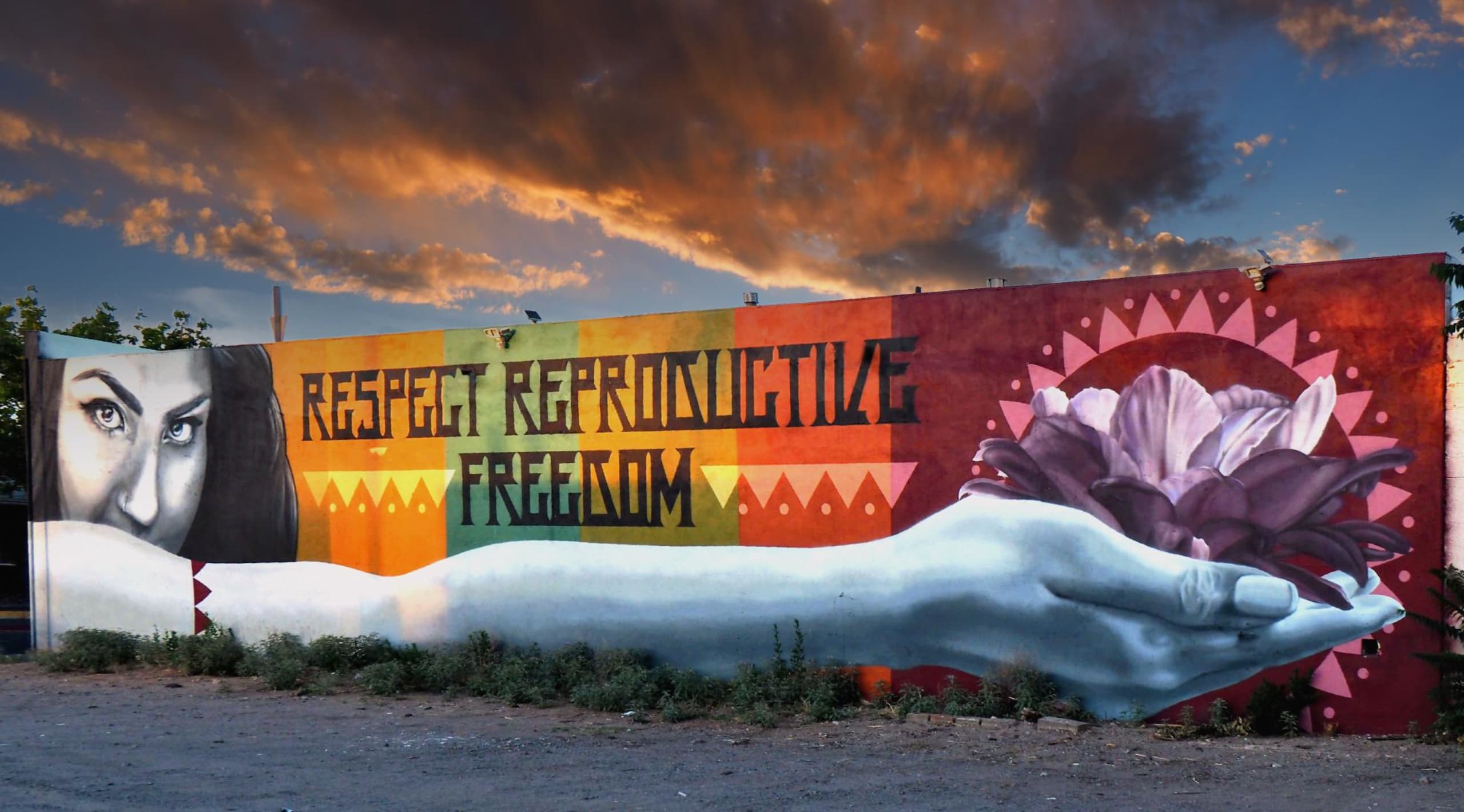 Respect Reproductive Freedom by Chromaj