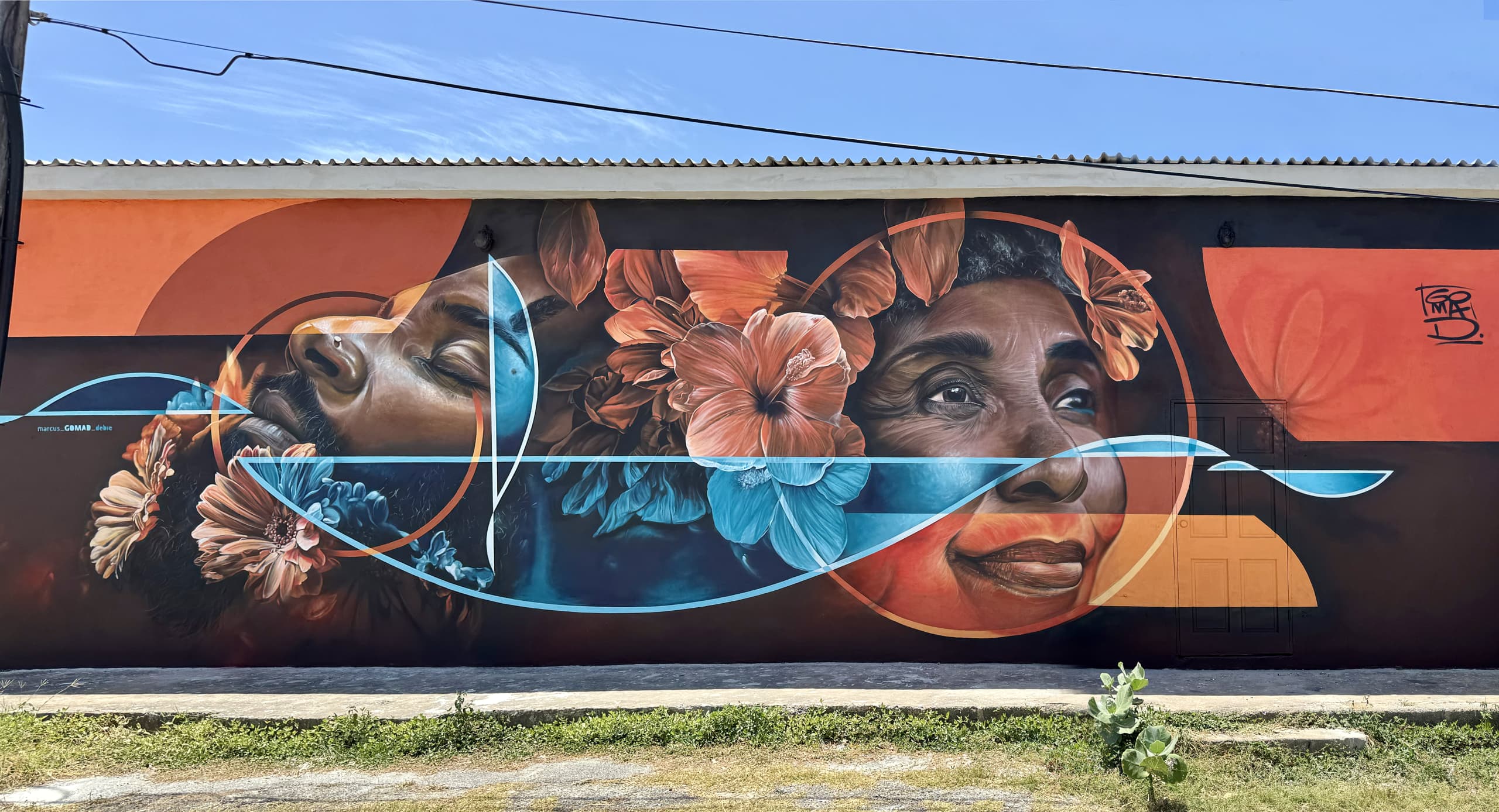 Roots in bloom by GOMAD