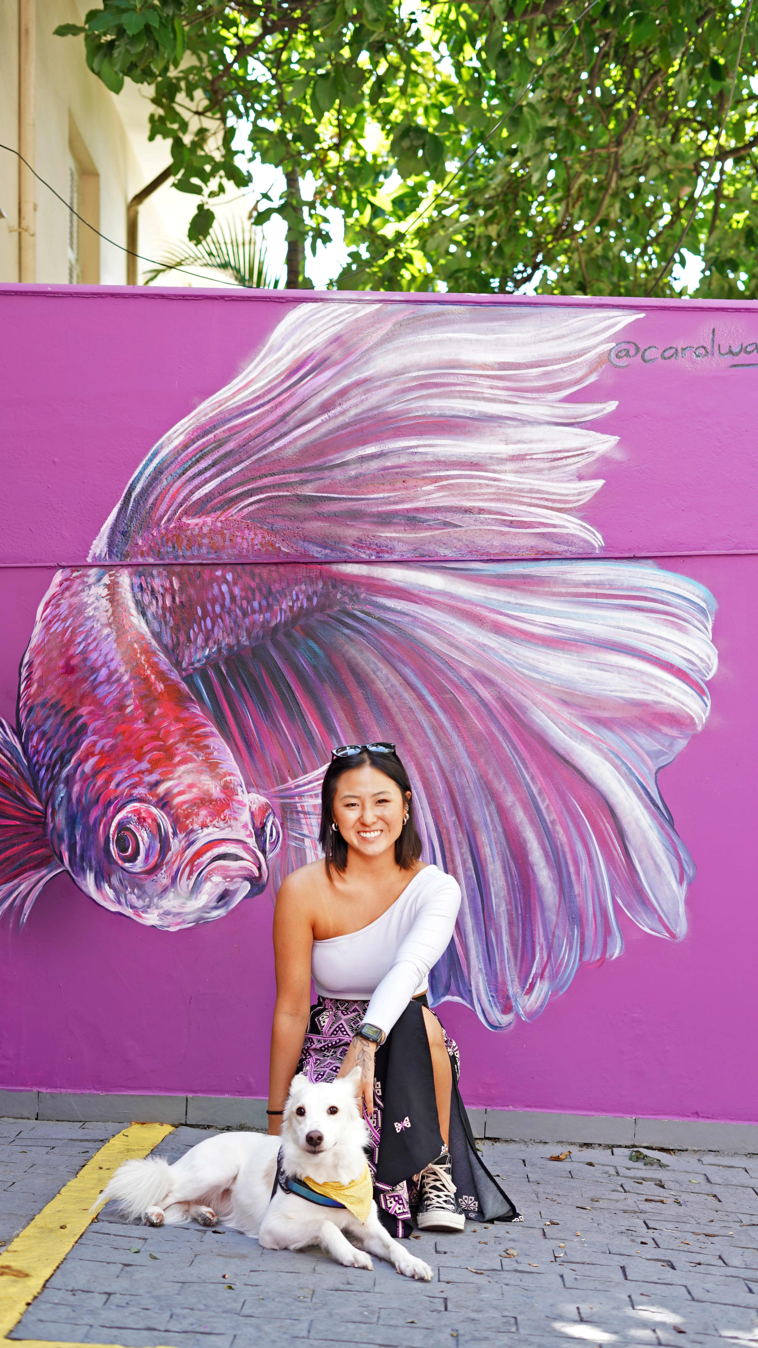 Magenta Beta Fish  by Carol Wang