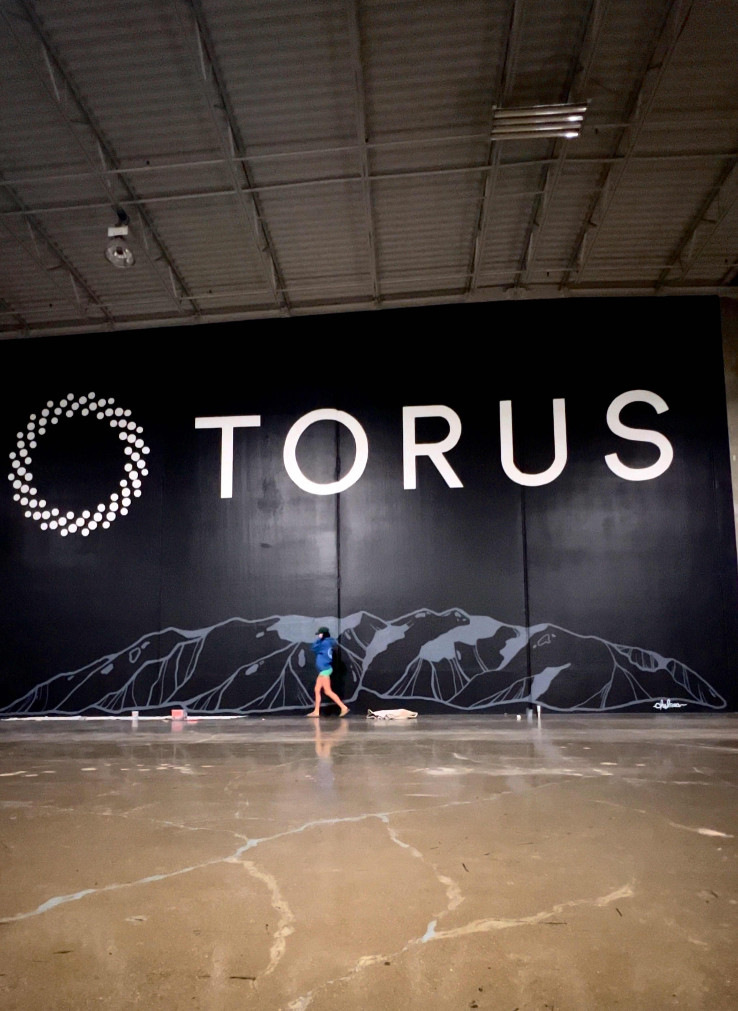 Torus Logo by Chelseablosil