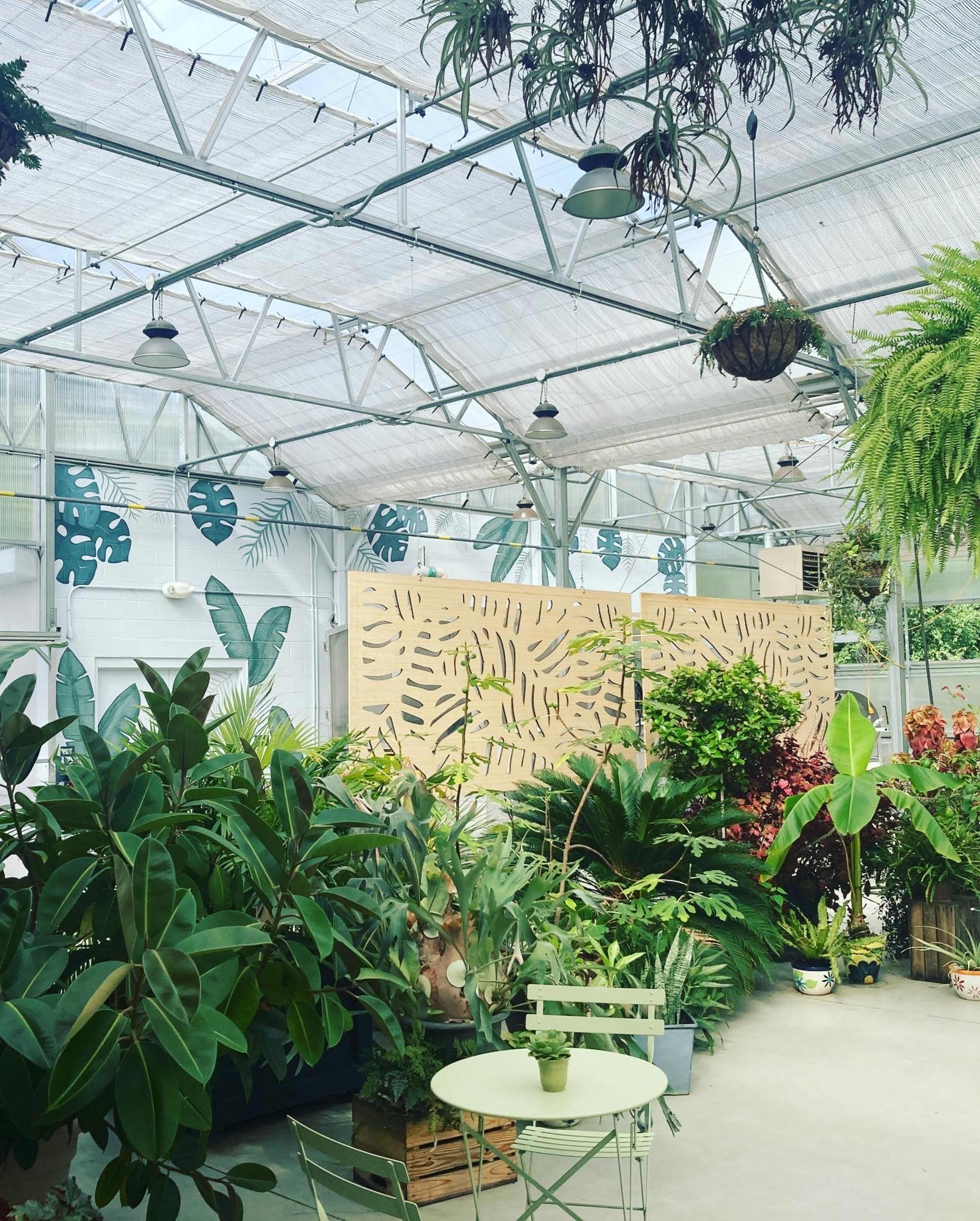 Greenhouse  by Amy Stephen