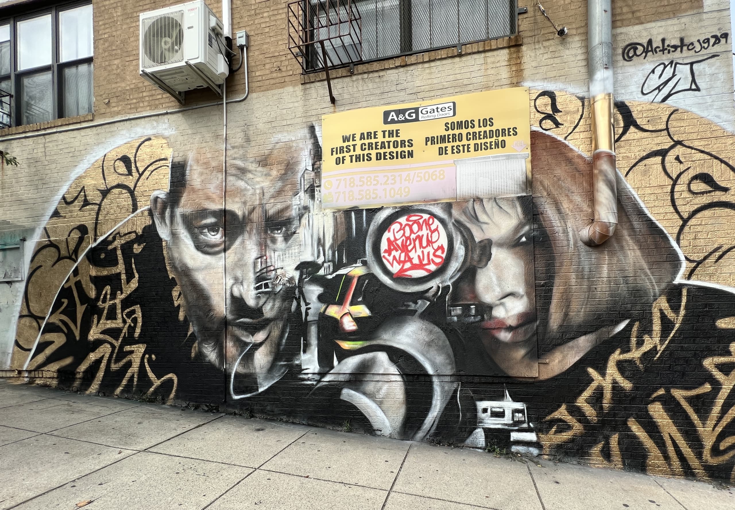 The Professional  by C J