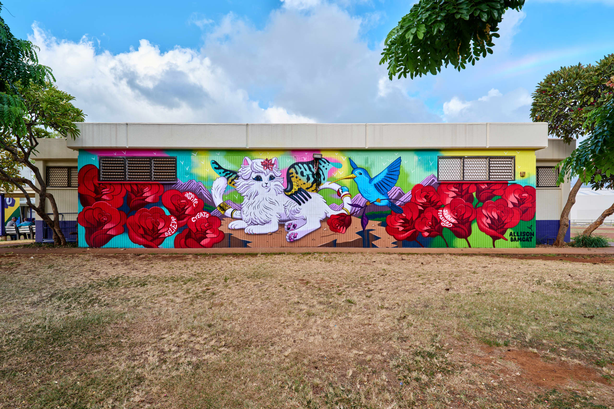 Hawaii Walls by Allison Bamcat