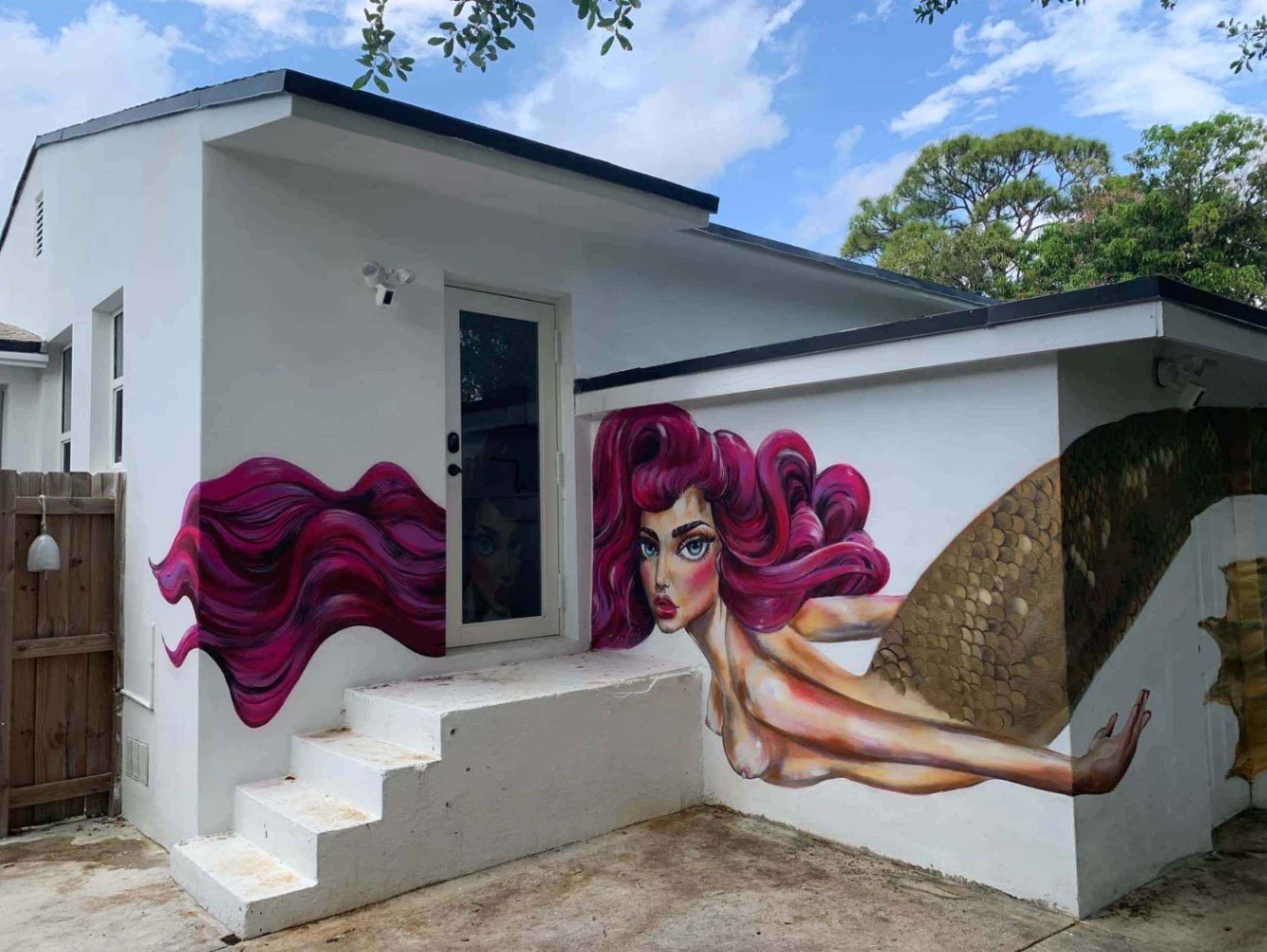 Venus by Didi