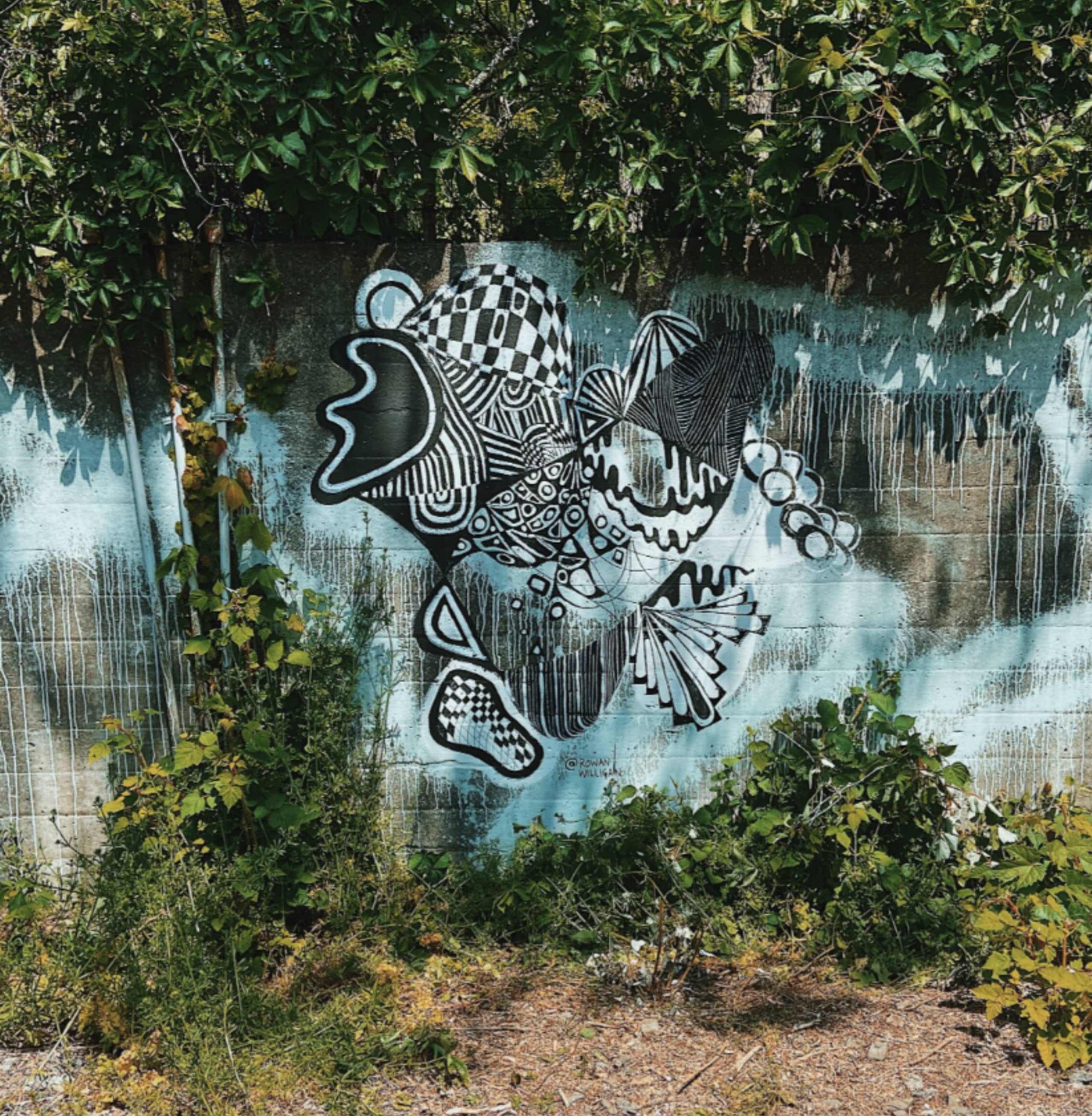 Critter by Rowan Willigan