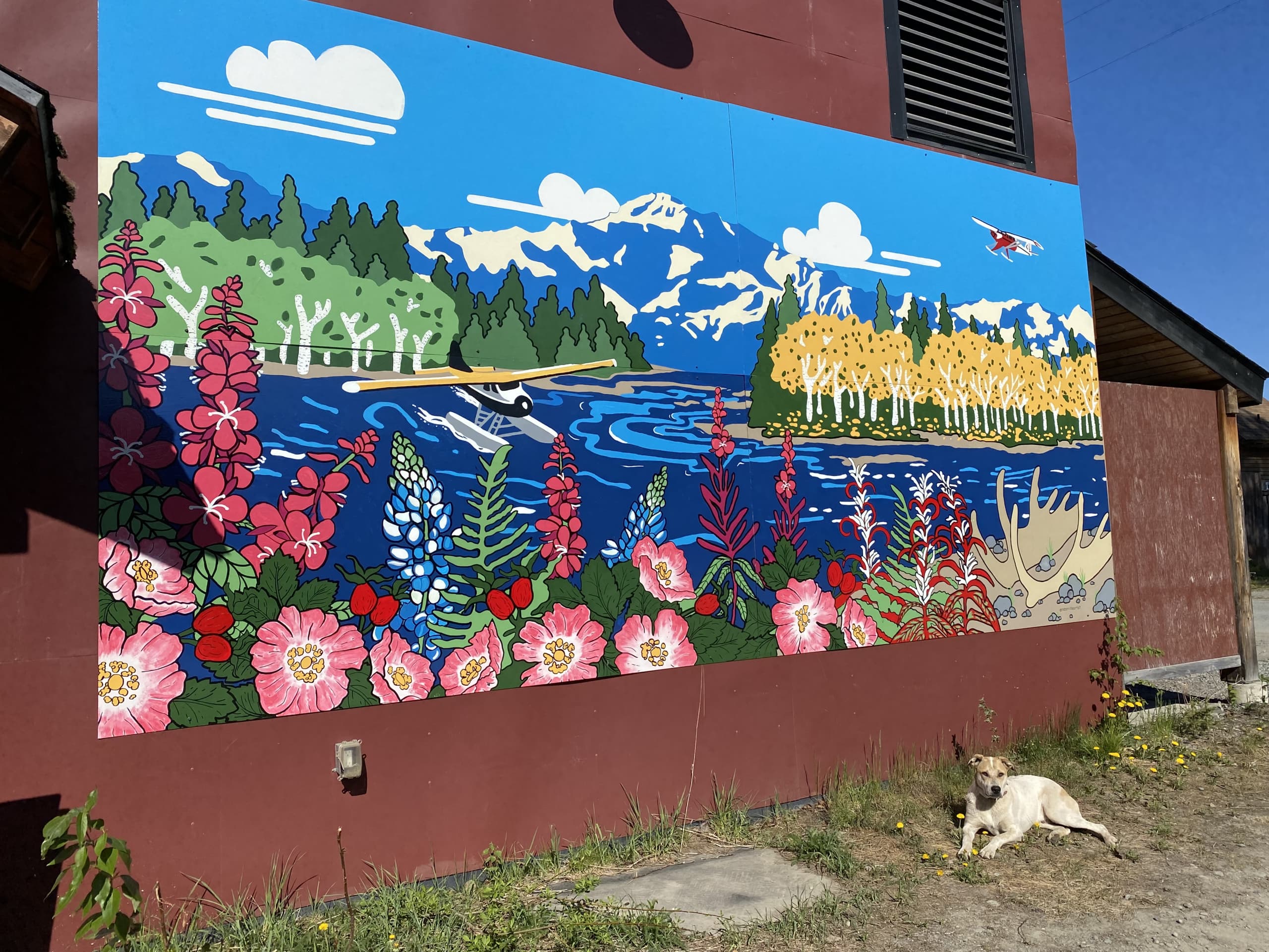 Summer in Talkeetna  by Raeann Krugger
