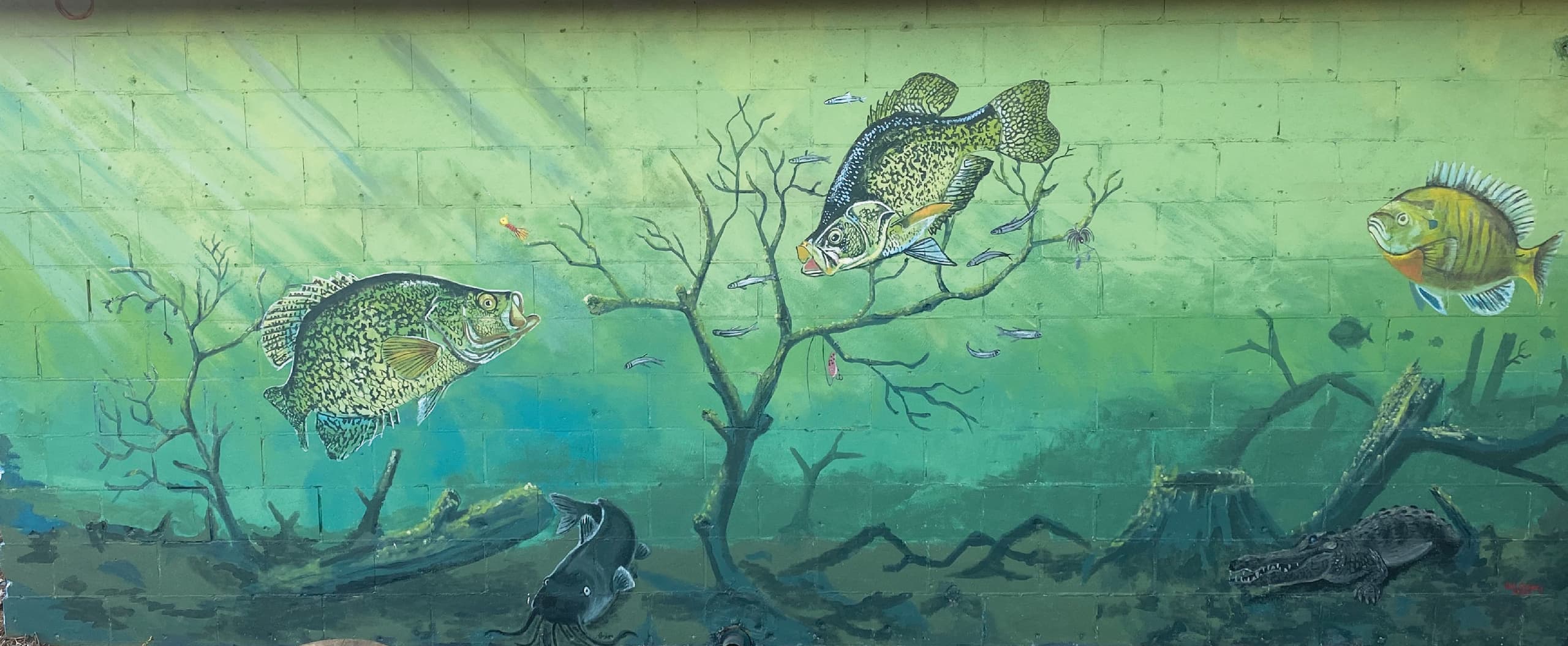 Lakeland Fishing Outfitters Crappie Mural by Bob Gregory - ArtFX Design Studios