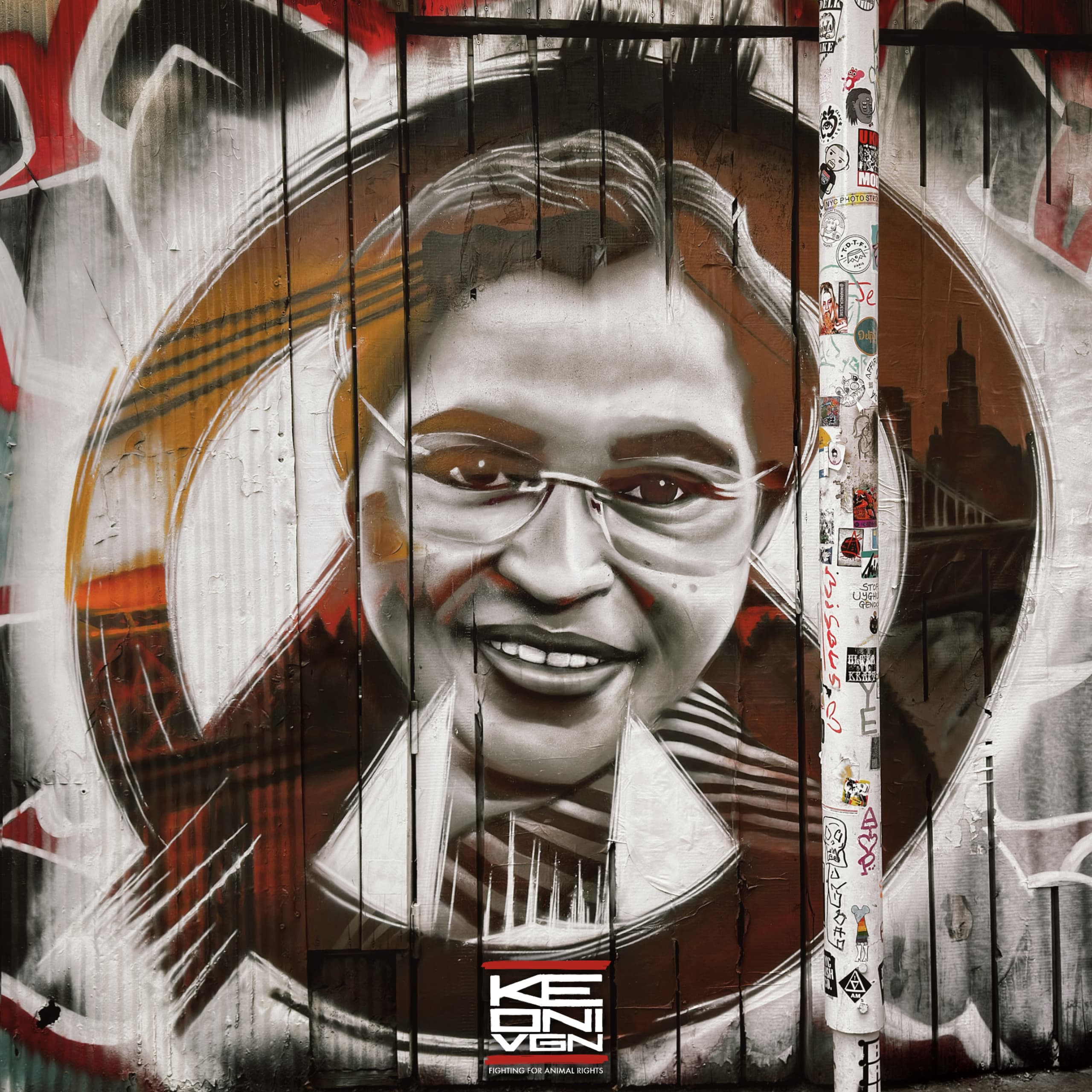 Rosa Parks Symbol of Resistance by Keoni VGN