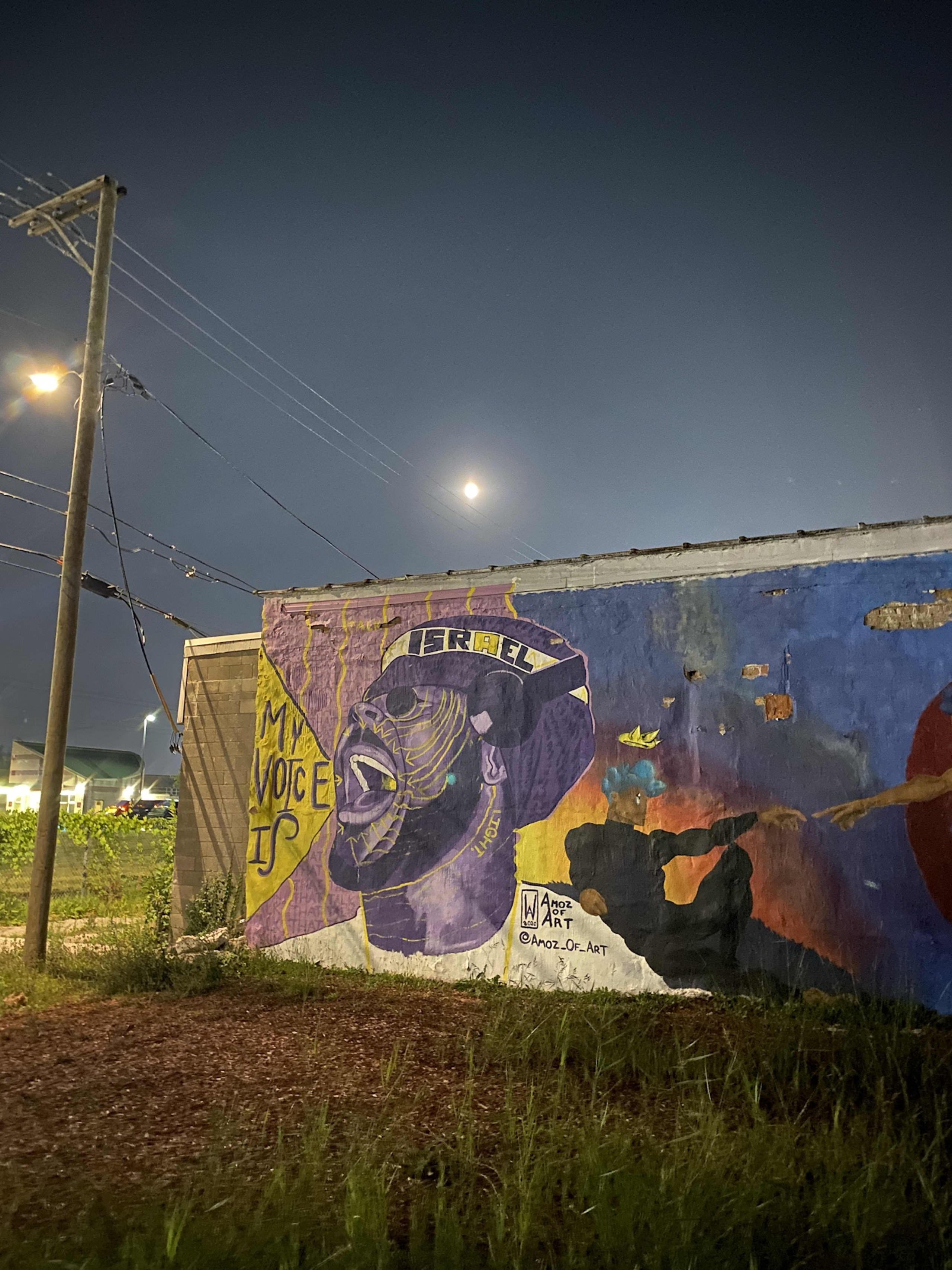 Harvey World Wall by Amoz Wright