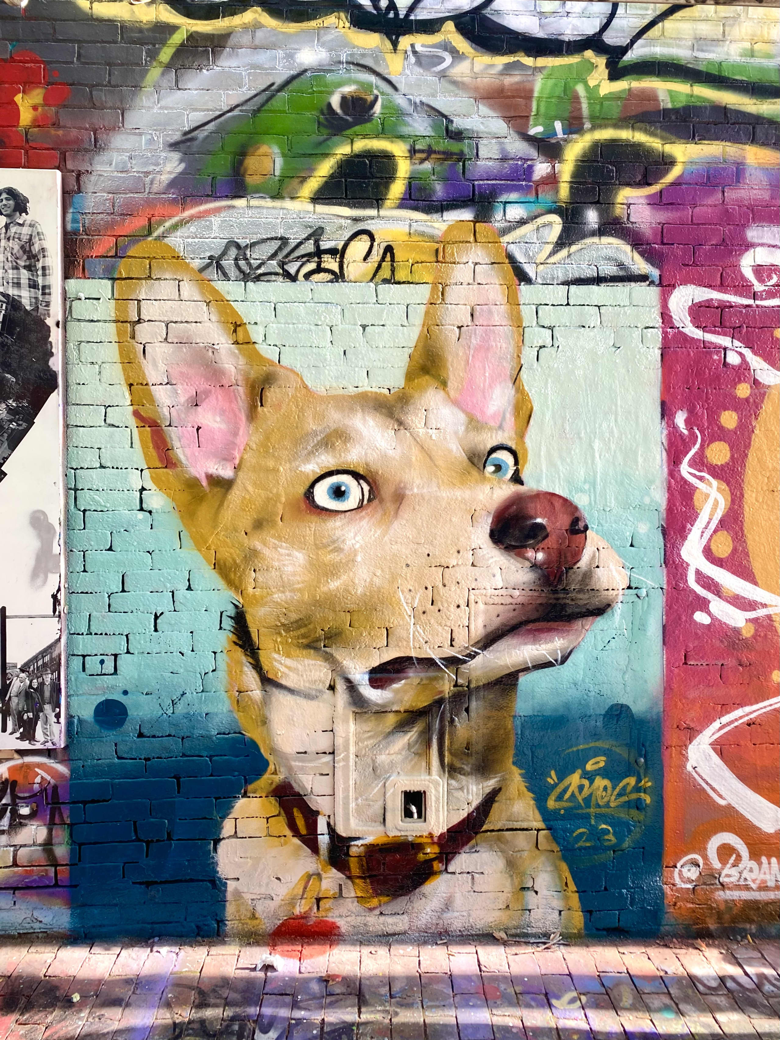 Doggo by Dave Croc