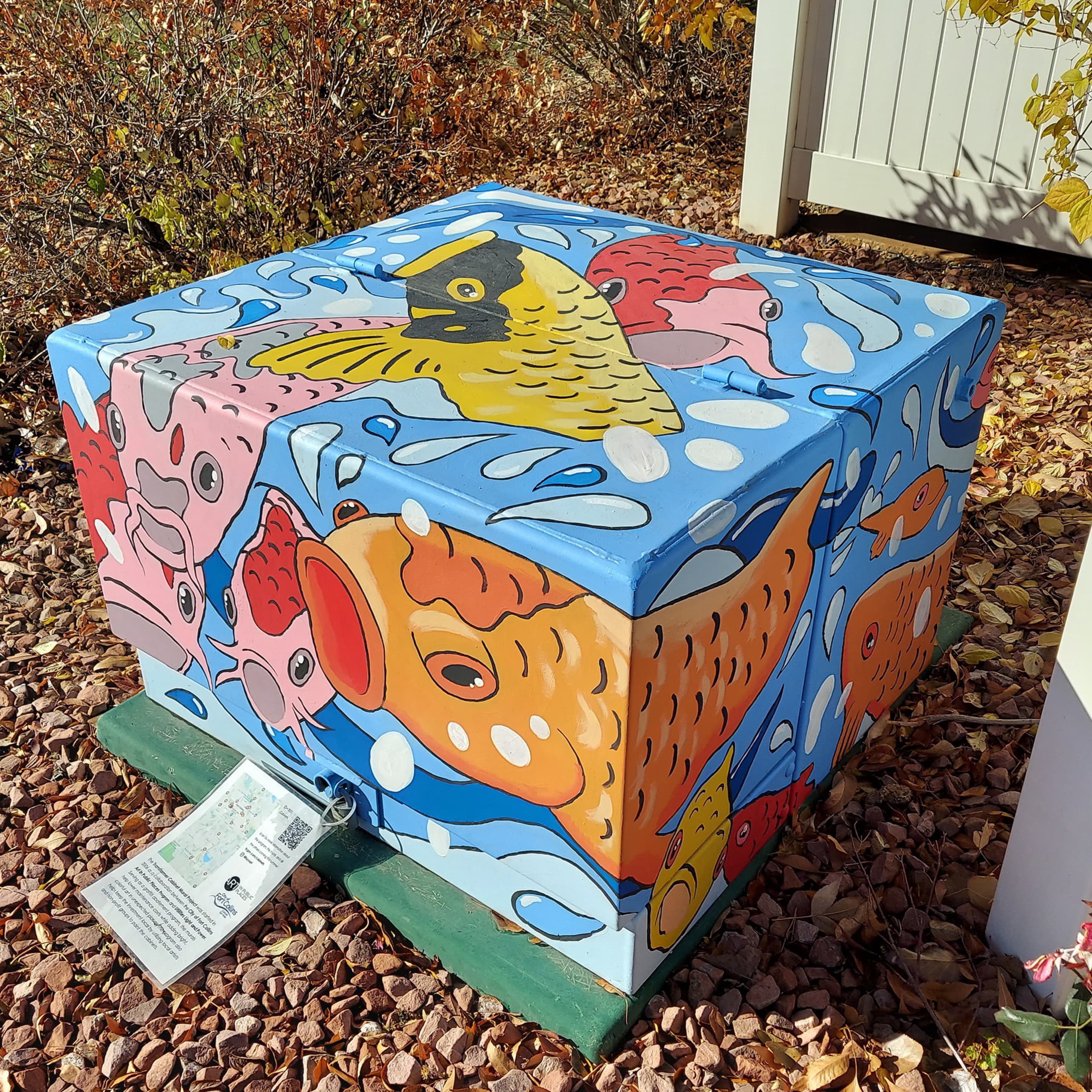 Warm Koi, Cool Waters by Julie Kitzes