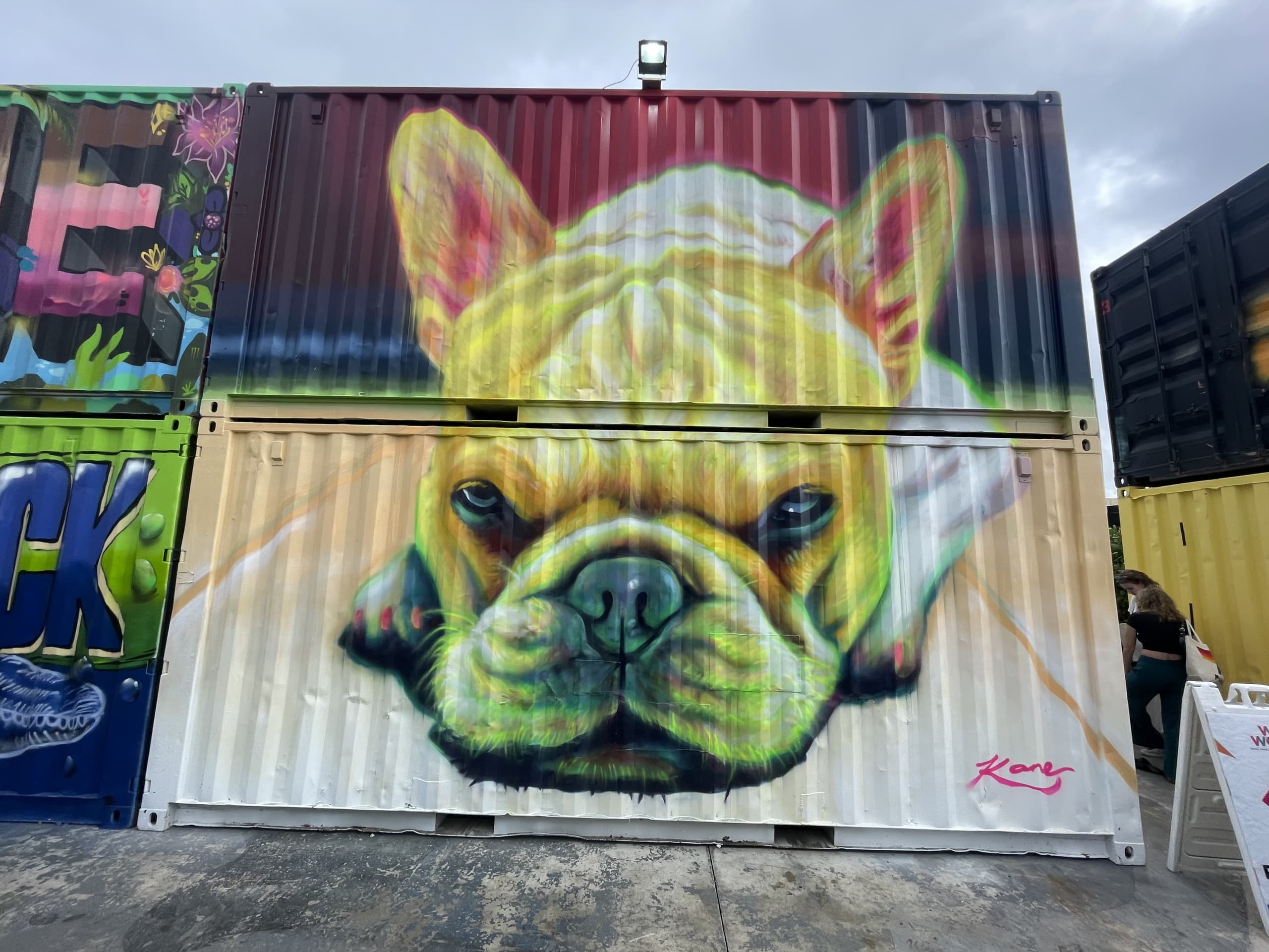 Leo sulking by Patrick Kane Mcgregor