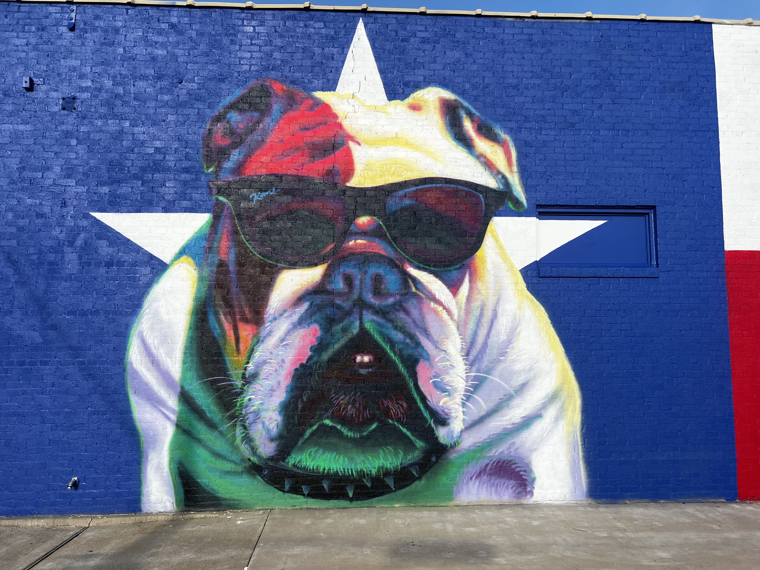 Rocco in Texas by Patrick Kane Mcgregor