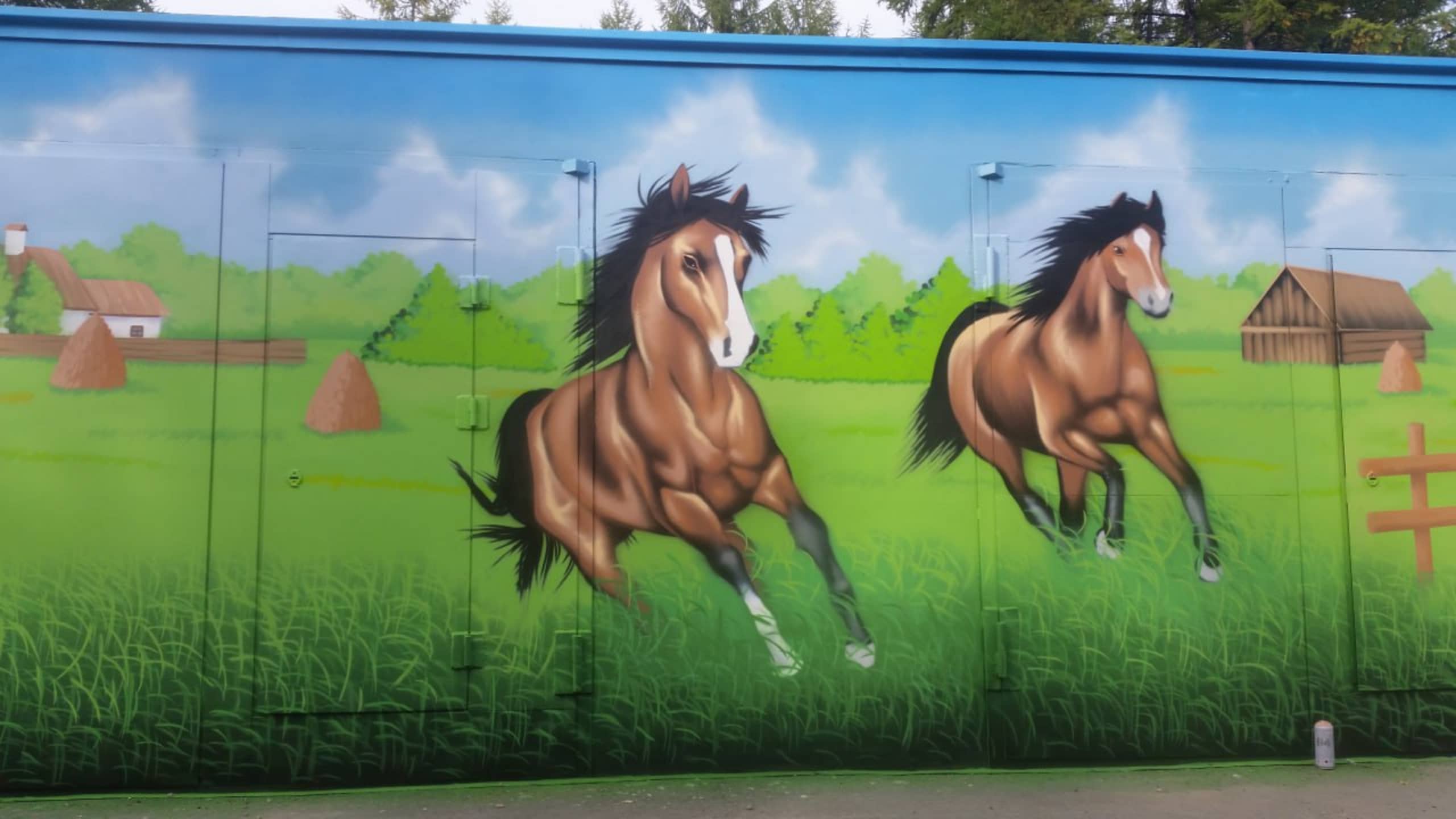 horses by Maxim Litvinov