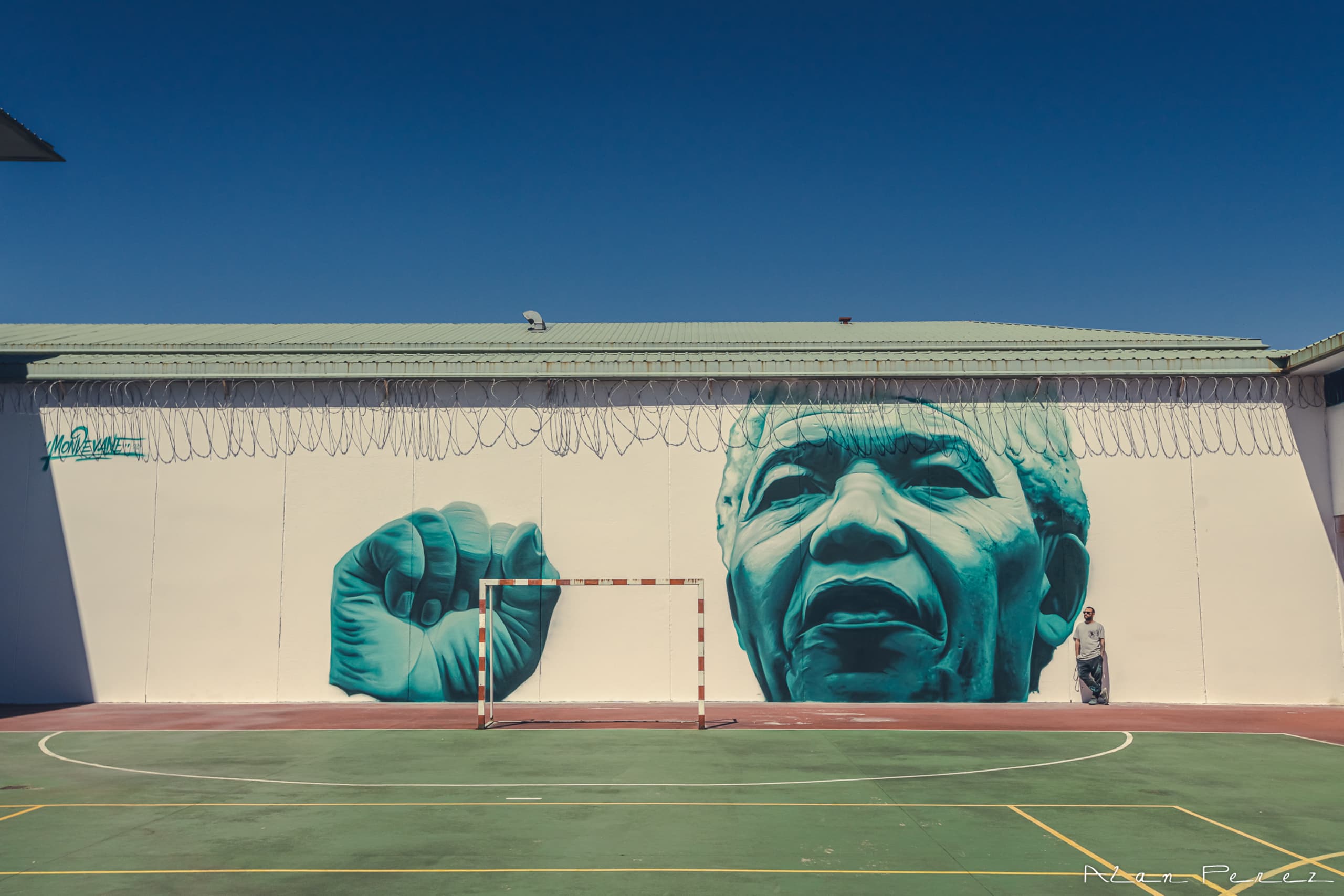 Nelson Mandela by Mon Devane