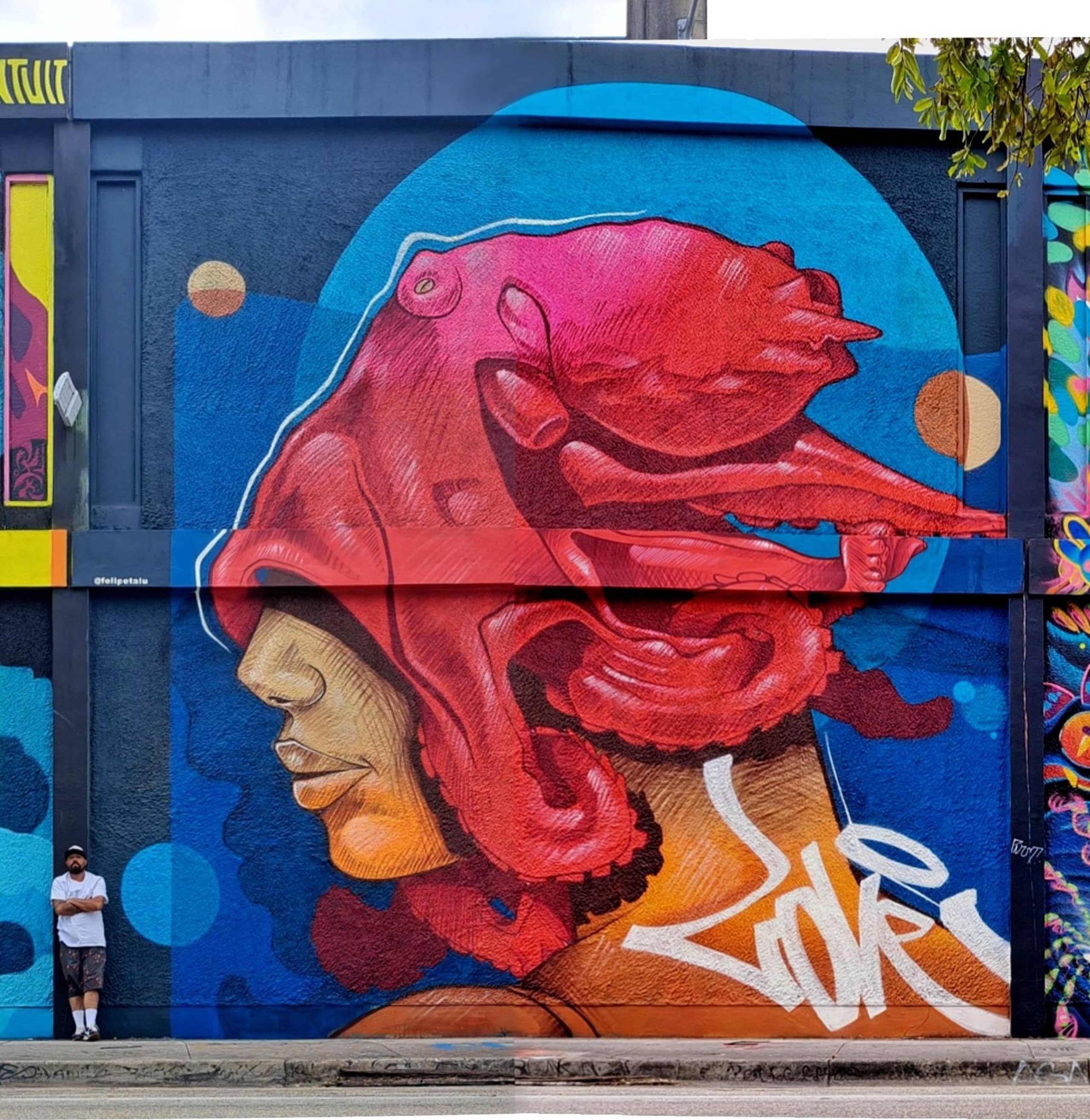 wynwood WALL FEST by Felipe Talu