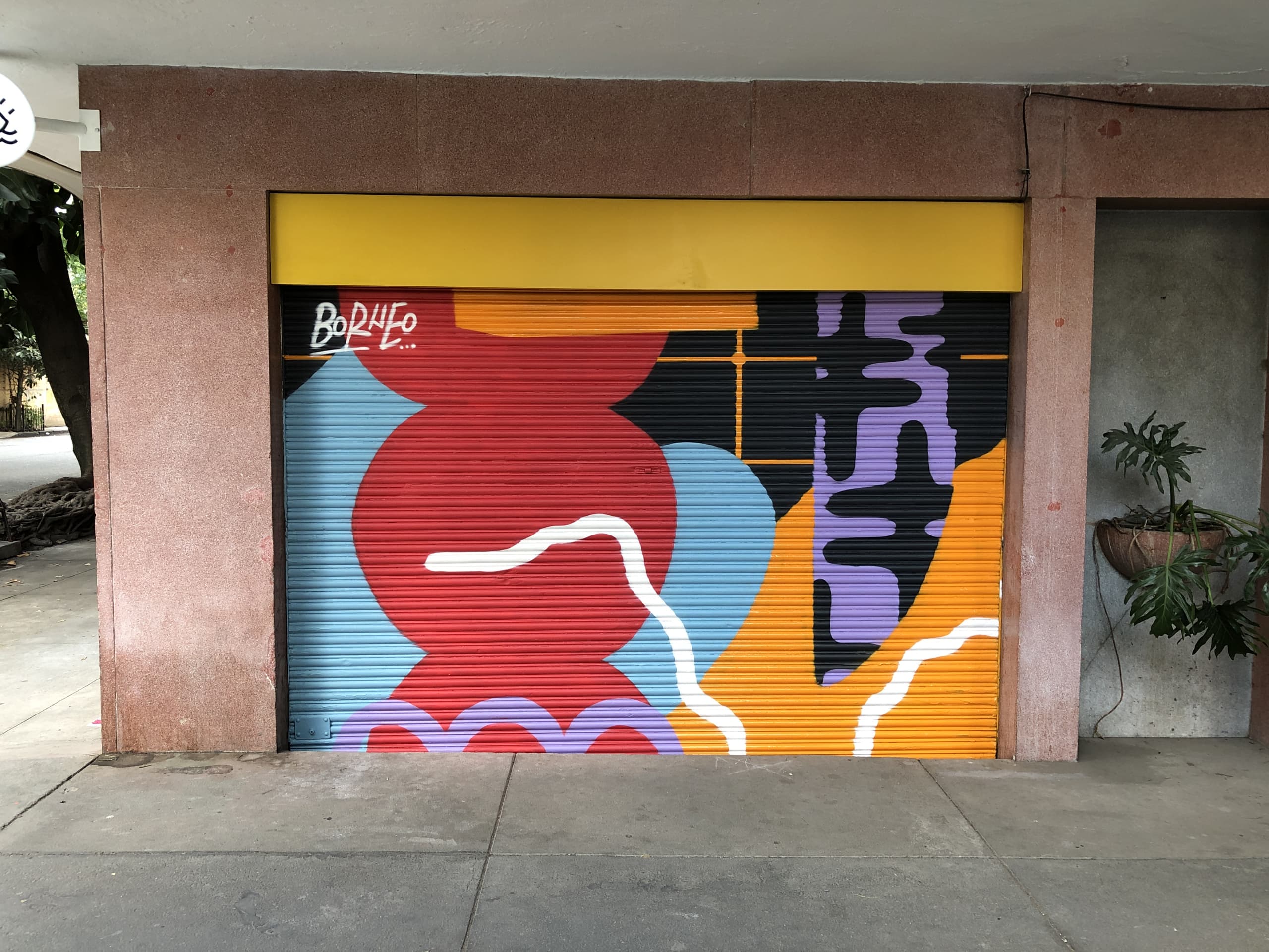 Vibrant Echoes of Urban Expression by Borneo