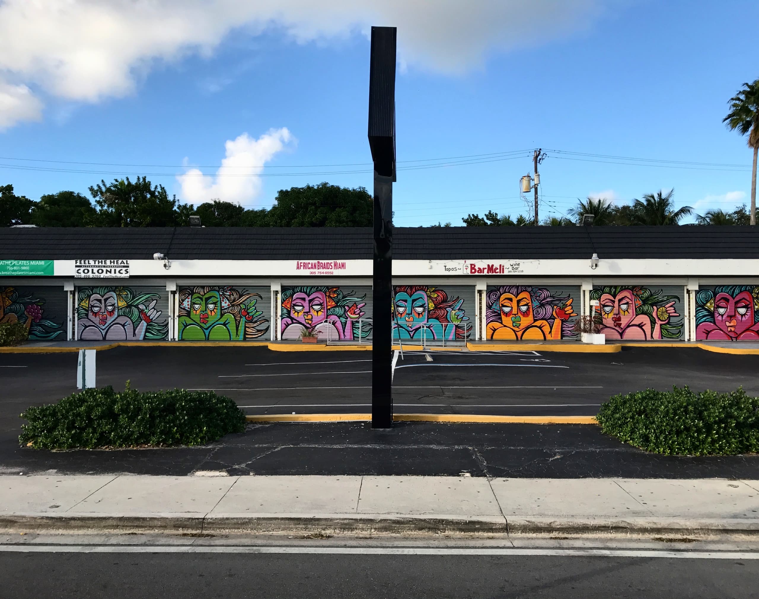 Vibrant Echoes of Miami's Urban Spirit by Delvs