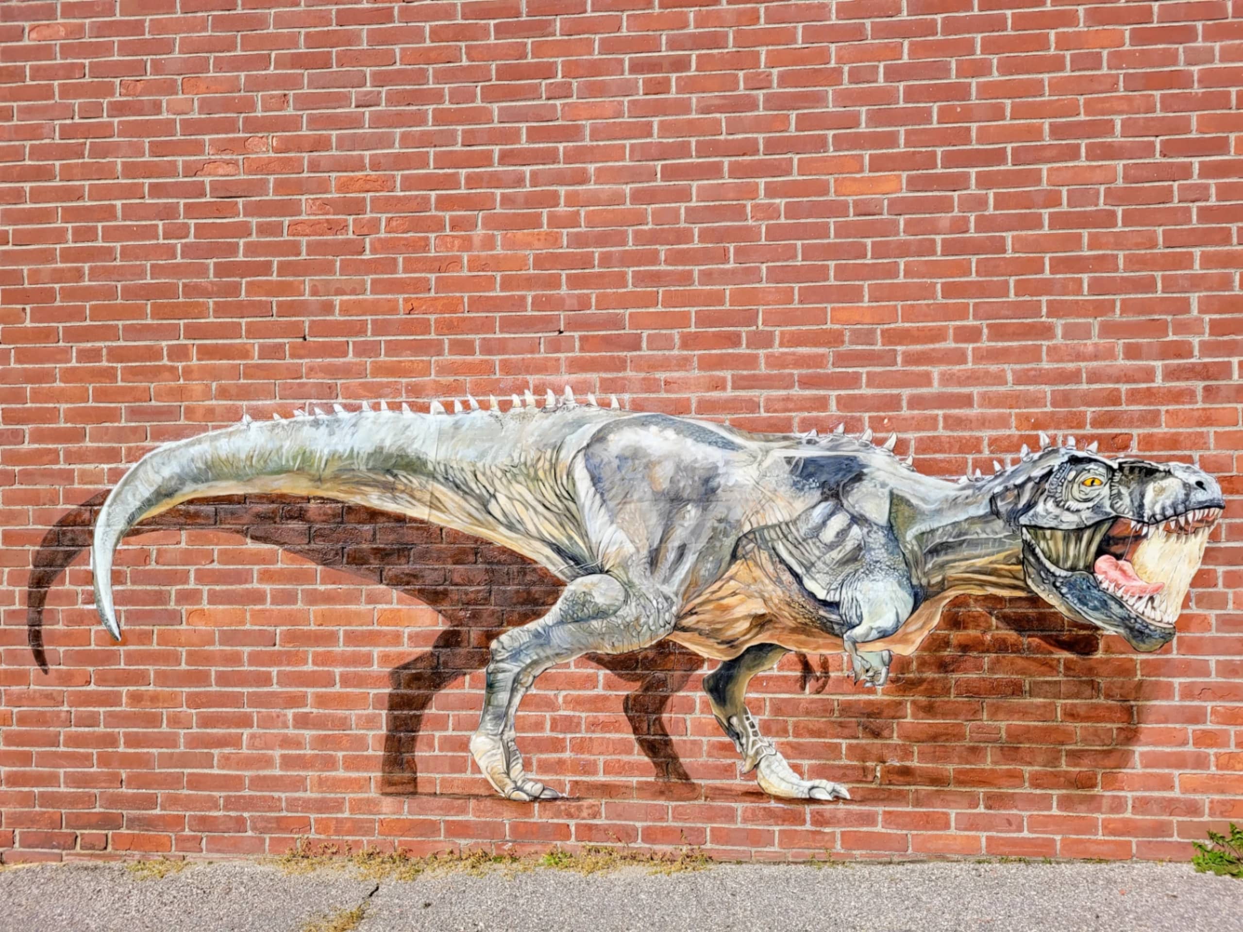 TRex by Kathryn Wiegers