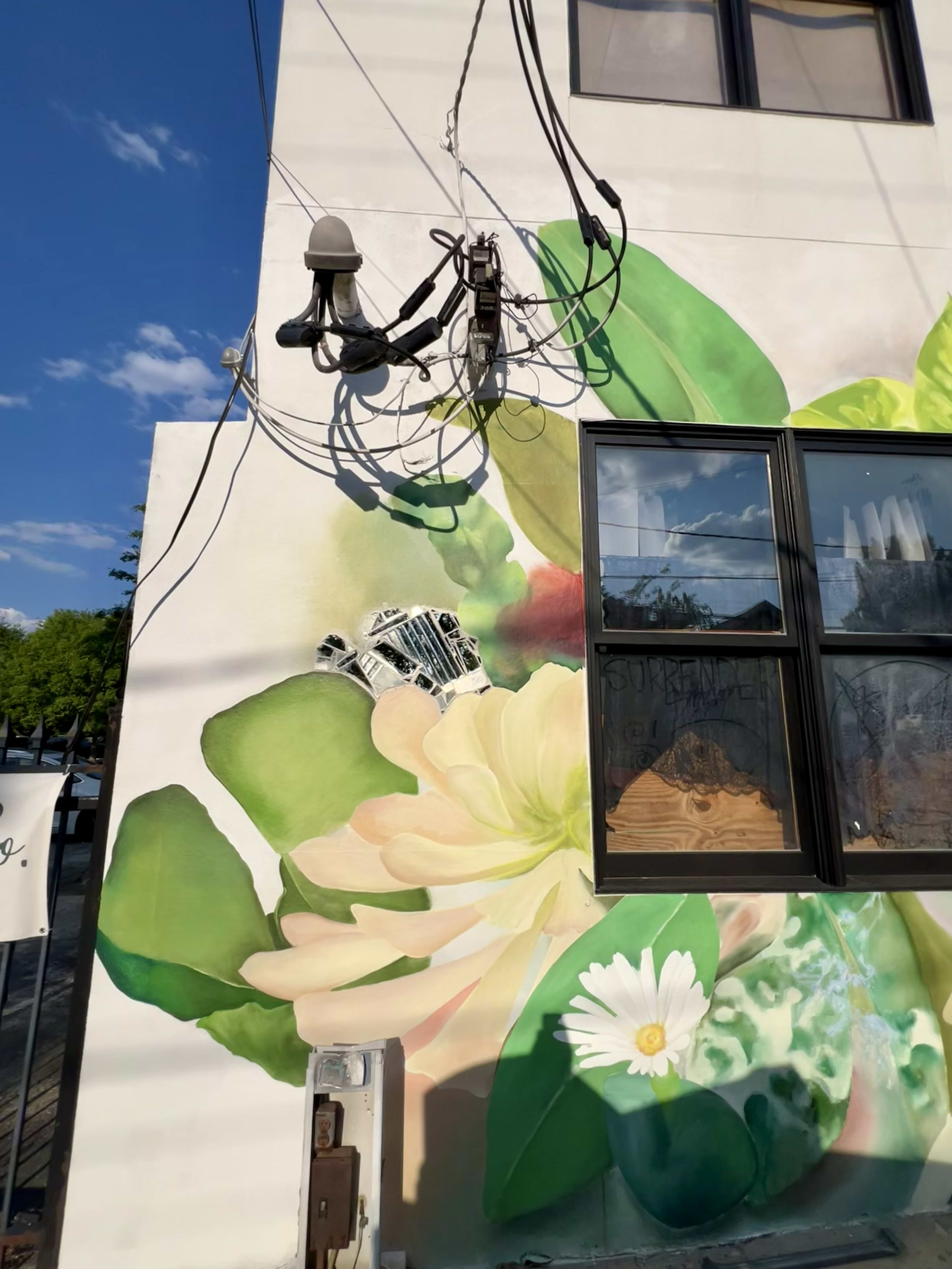 Plant Shop Close Up by Margo Perkins