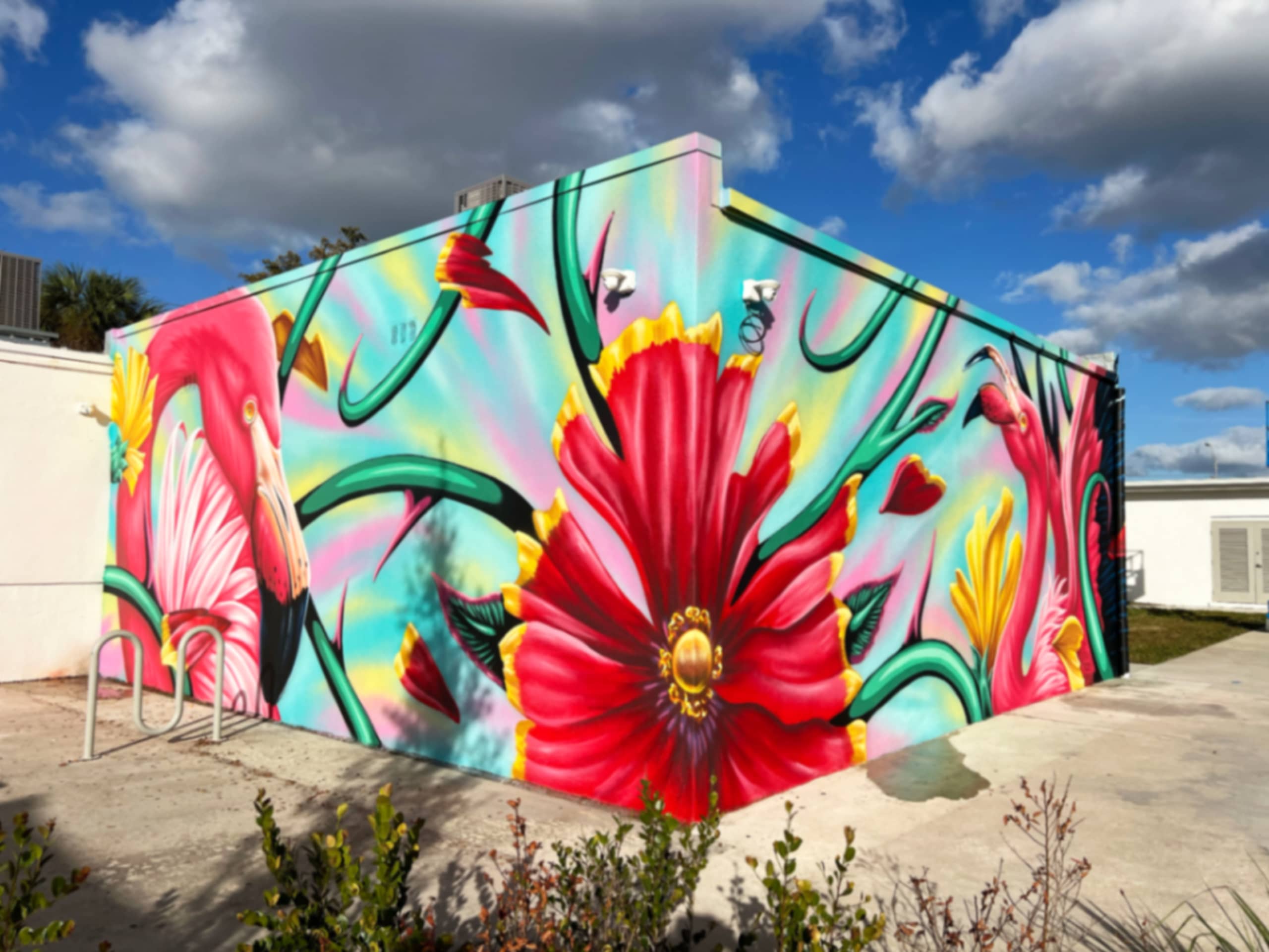100 years of Hialeah by Ivan Roque