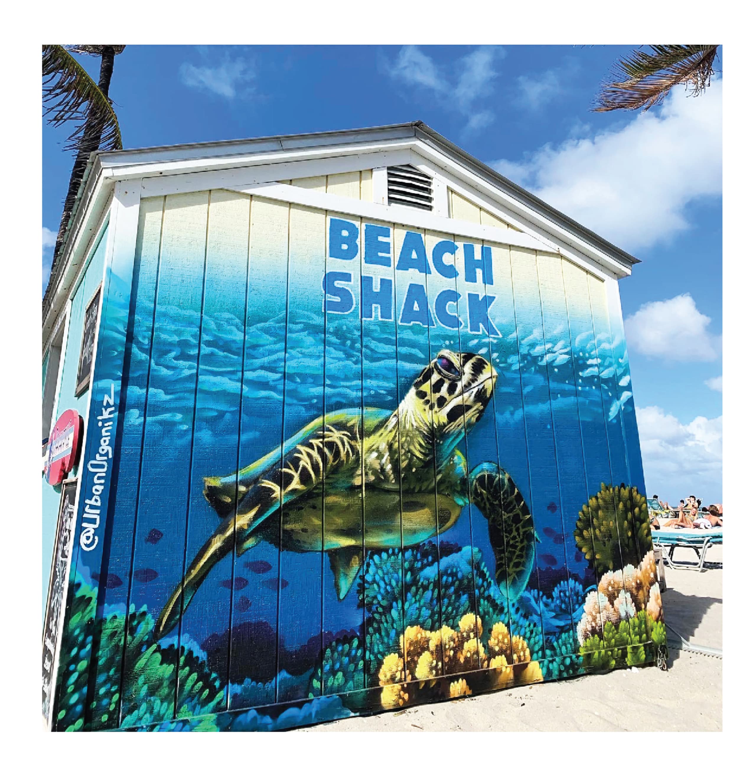 Sea turtle mural by Rei Ramirez