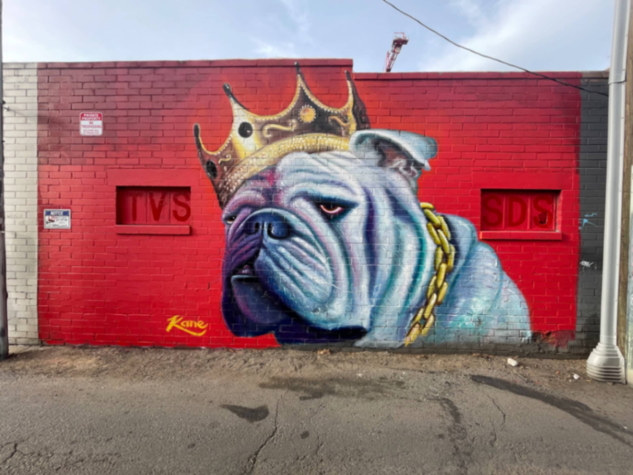 Biggie Boug by Kane