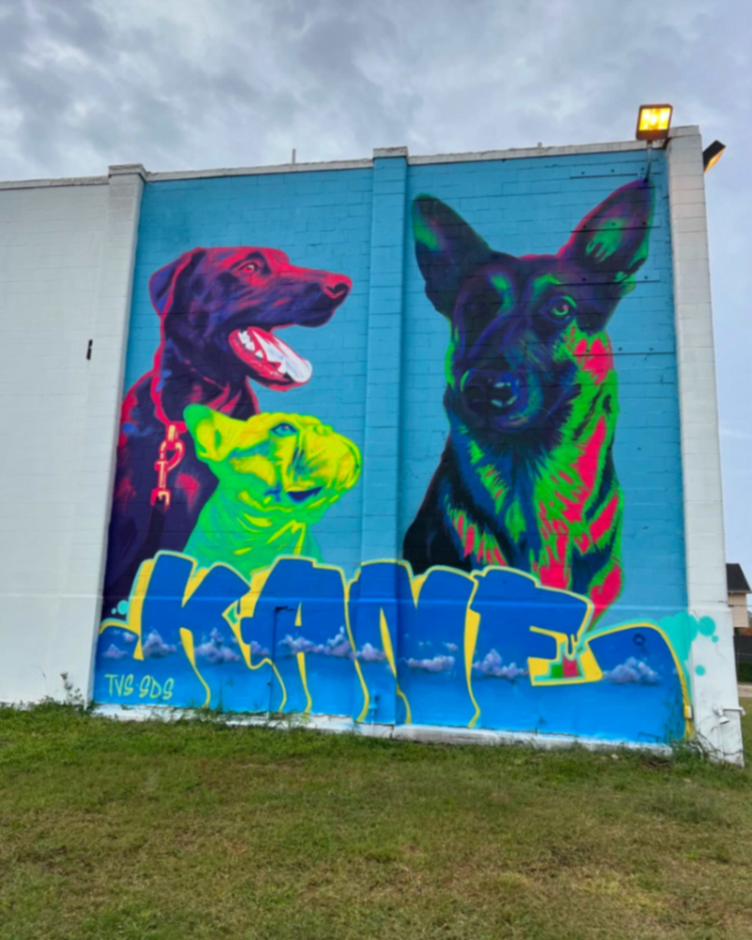 Maverick and Leo by Kane