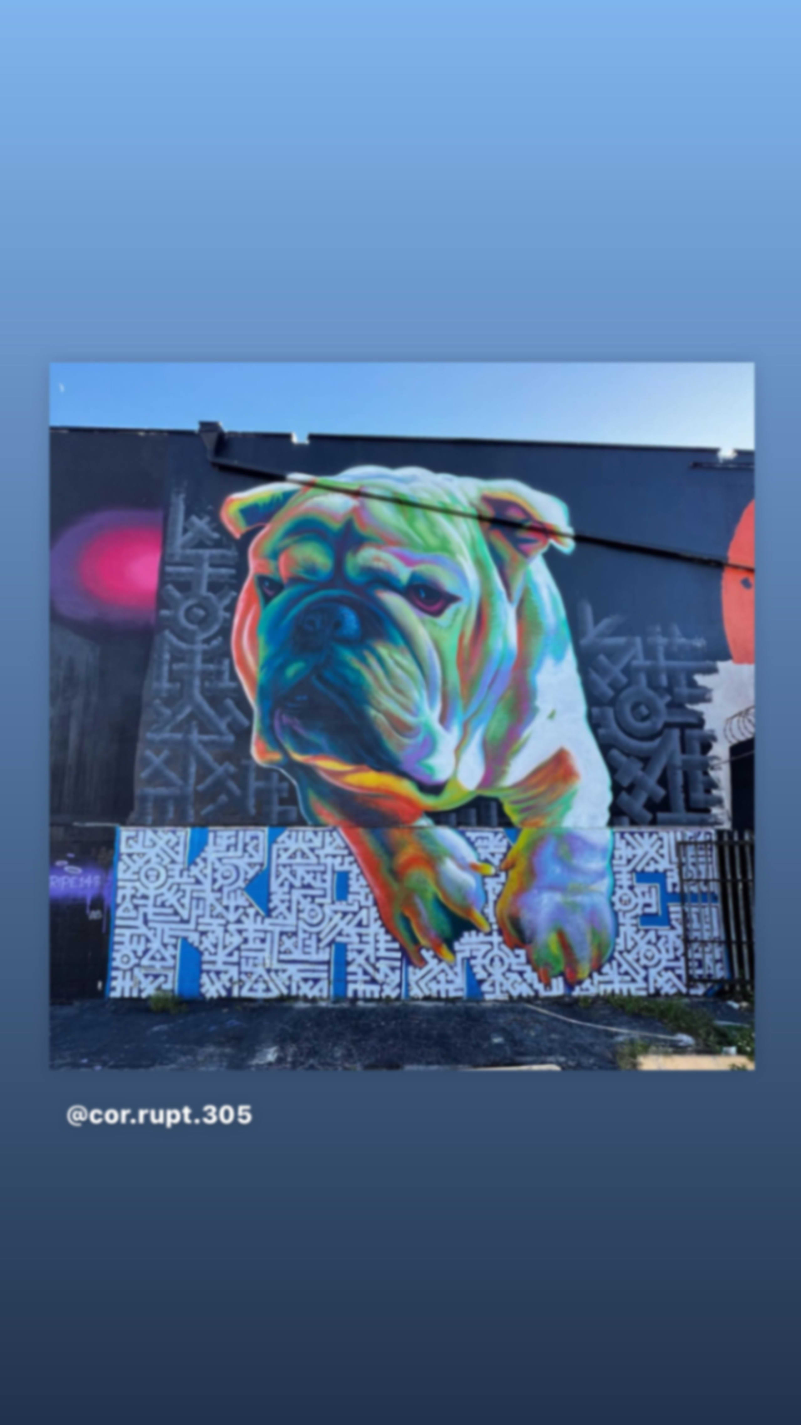 BougKane by Kane