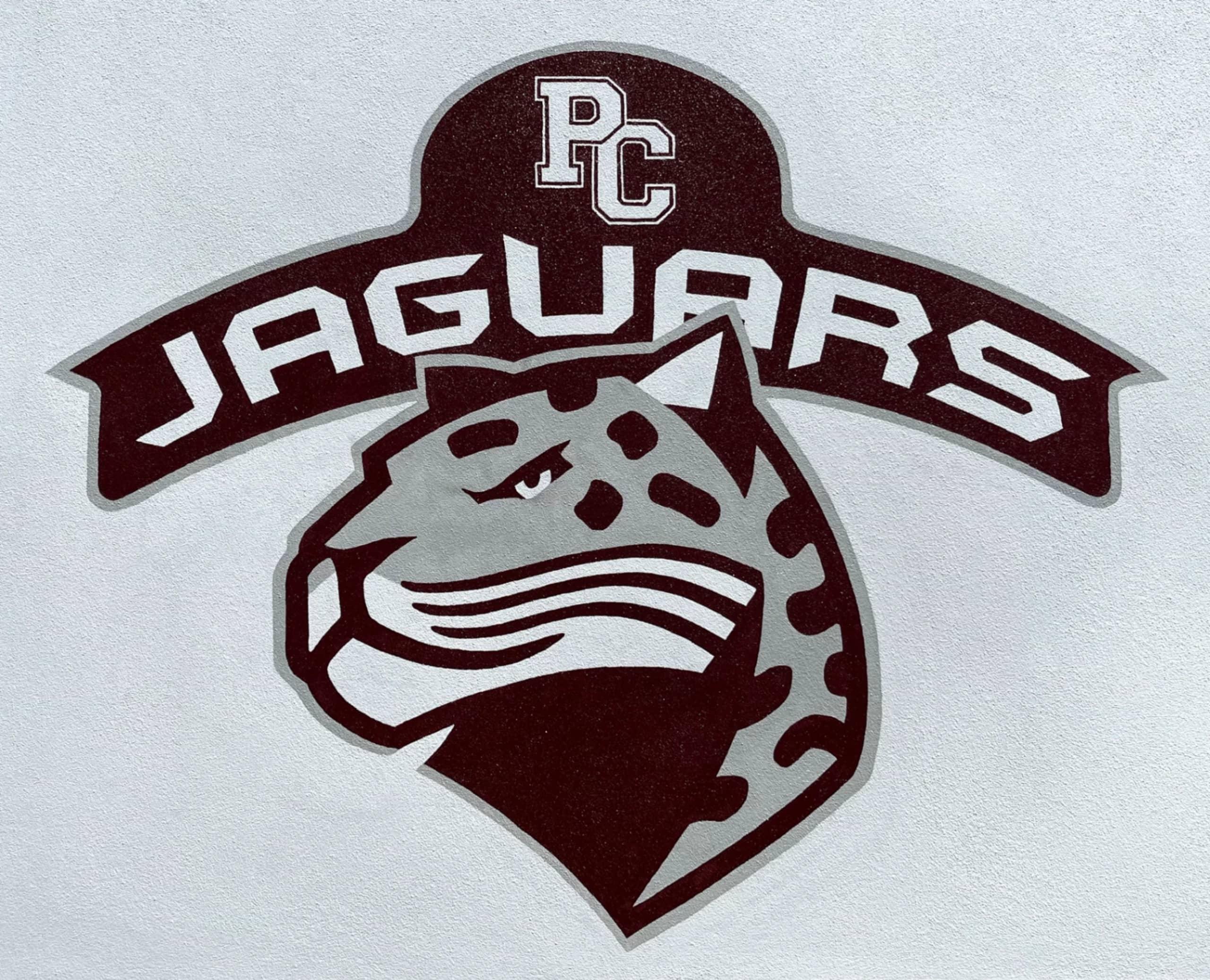 Jaguars Logo Detail by Jen Little