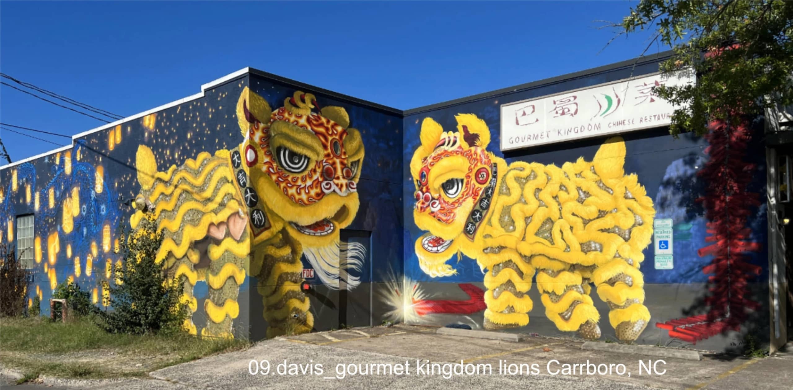 lions by Nonperishable