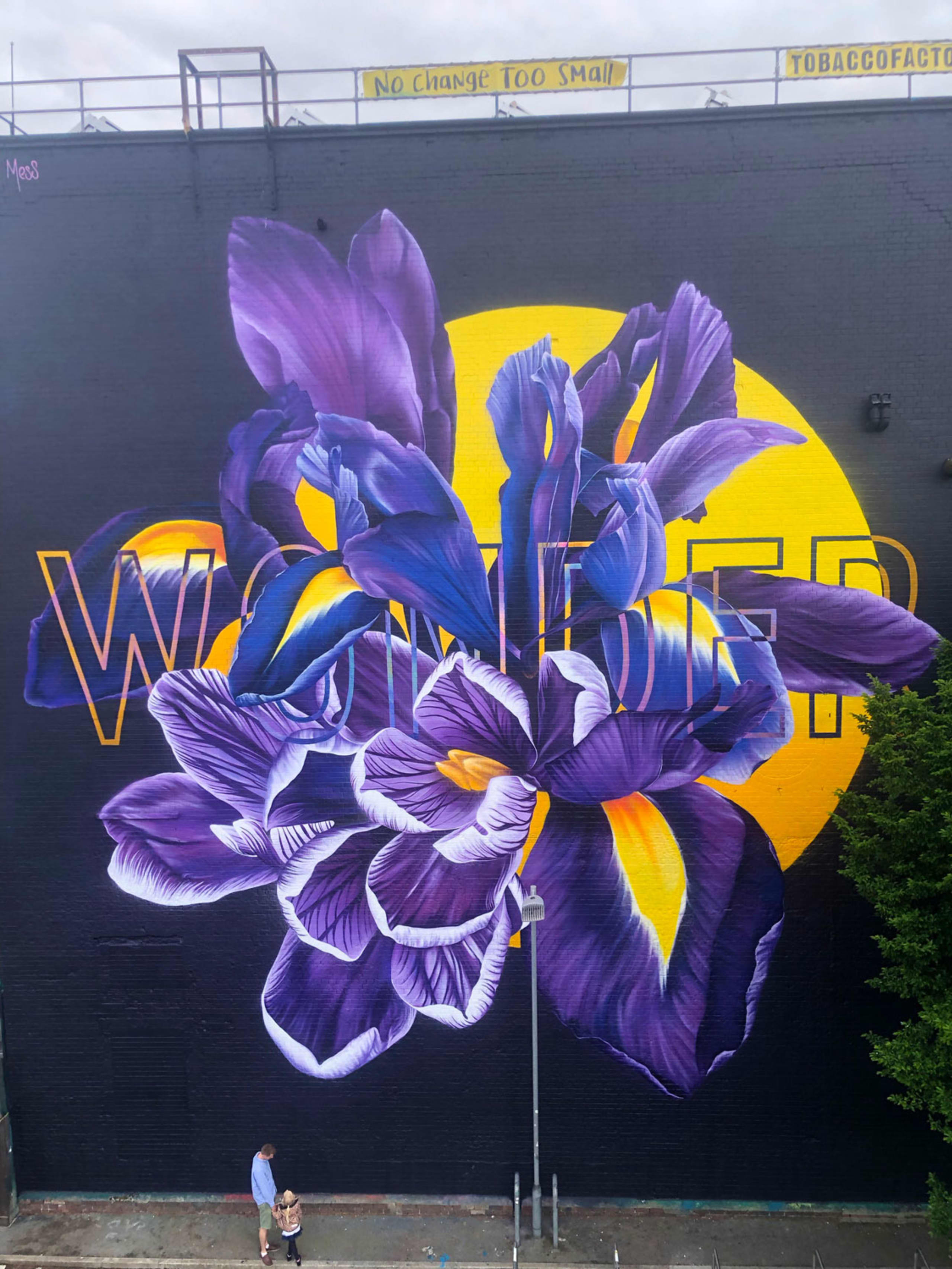 Blooming Wonder in Urban Serenity by Sophie Mess