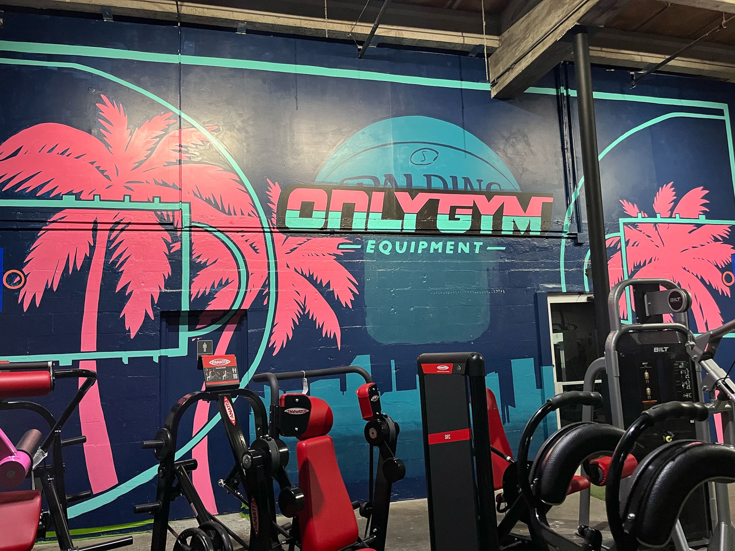 Tropical Vibes in Urban Fitness Escape by jbluery