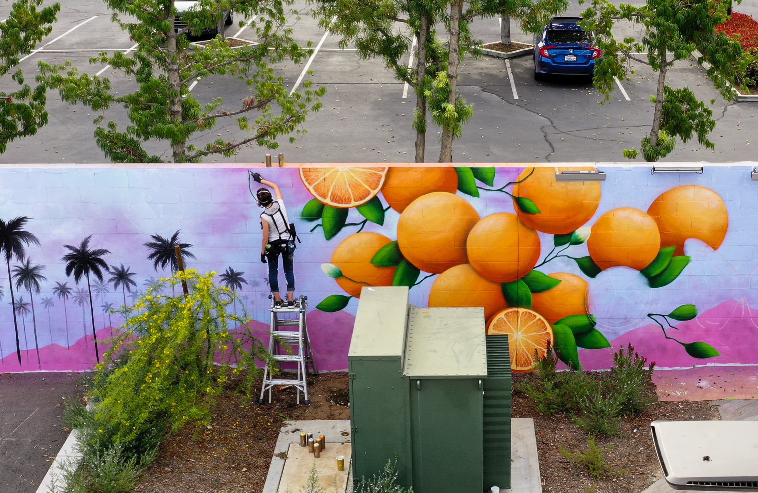 Citrus Dreams Under a Vibrant Sky by Cloe Hakakian