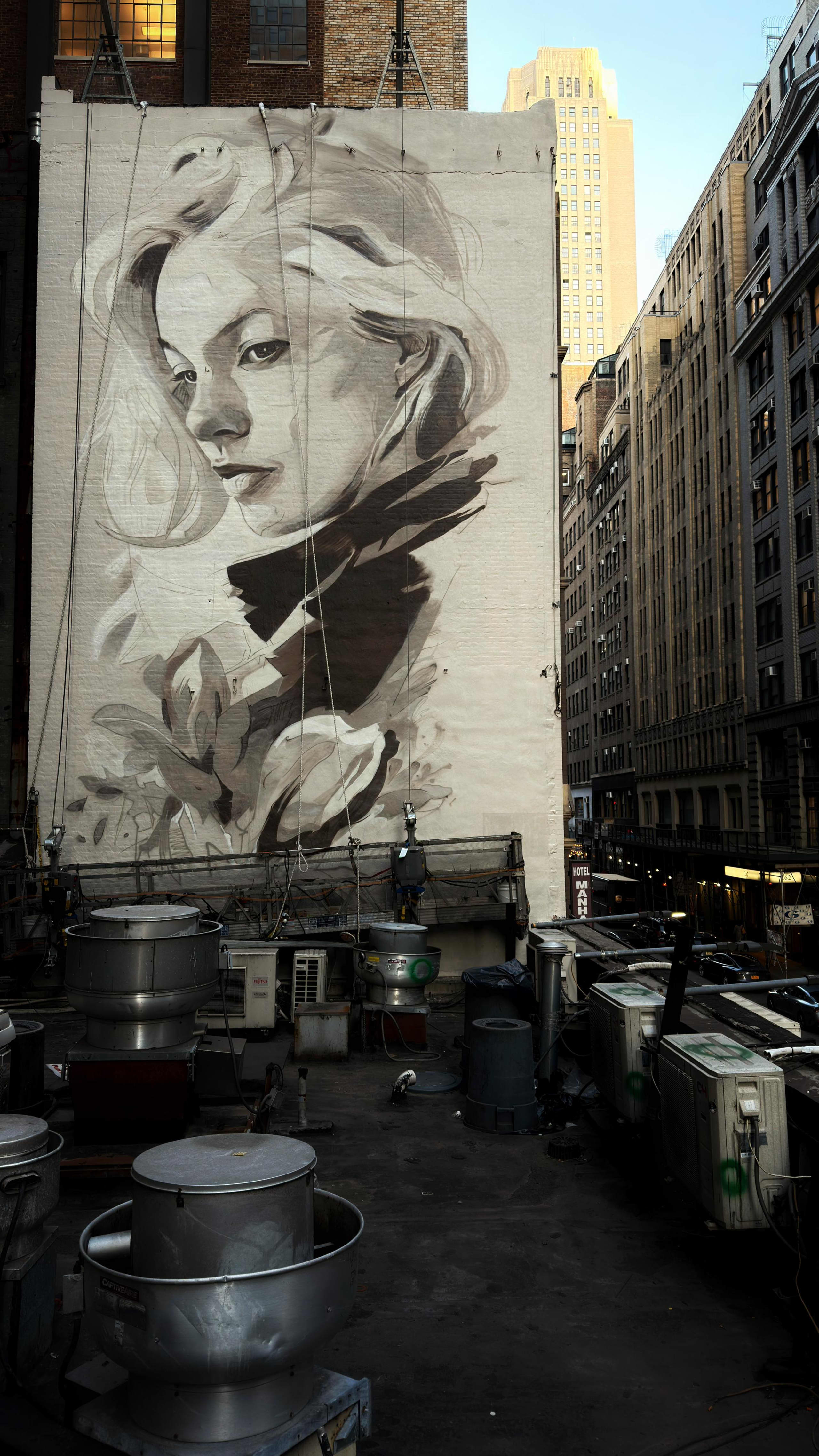 Eyes of Manhattan by Awie