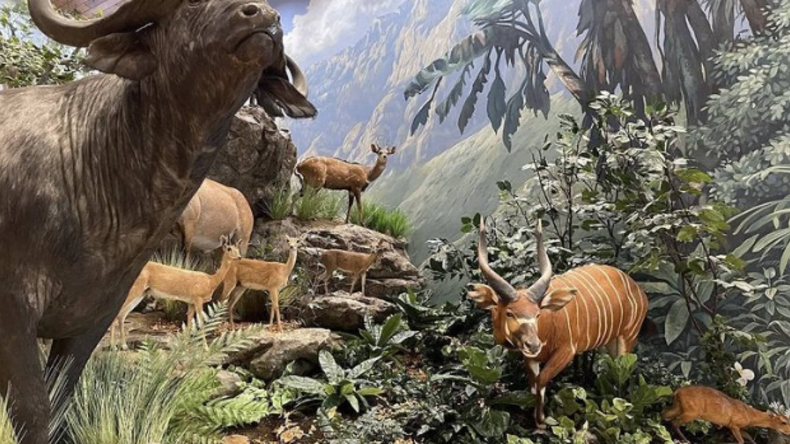 Rich Marks's cover image