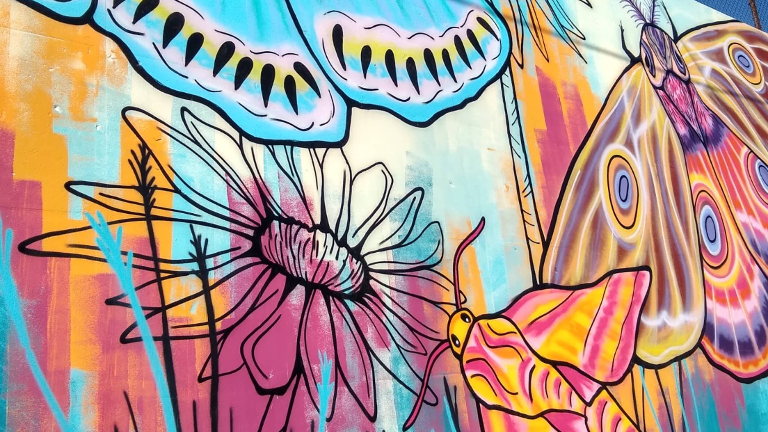 John Kowalczyk's cover image