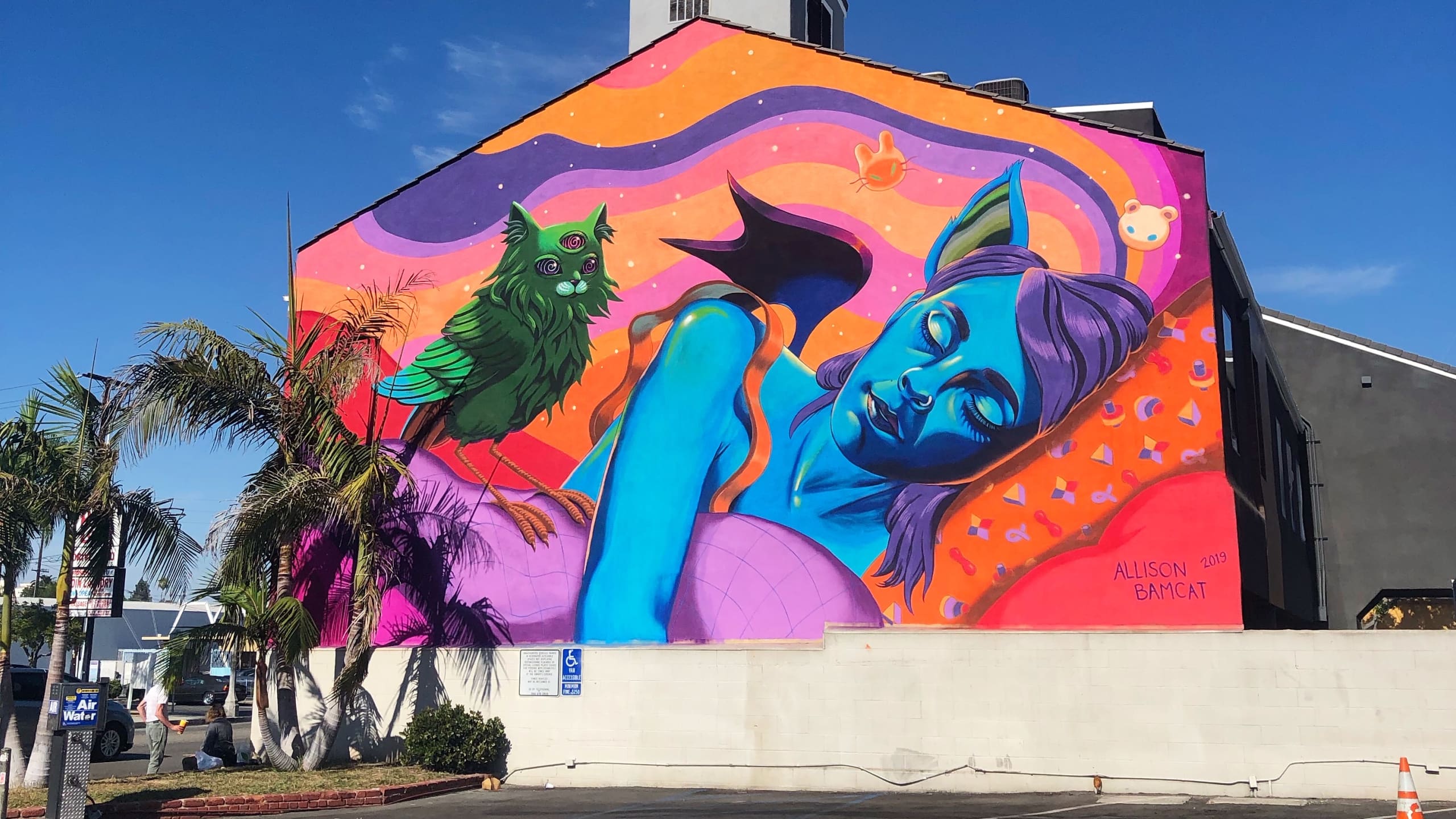 Allison Bamcat's cover image