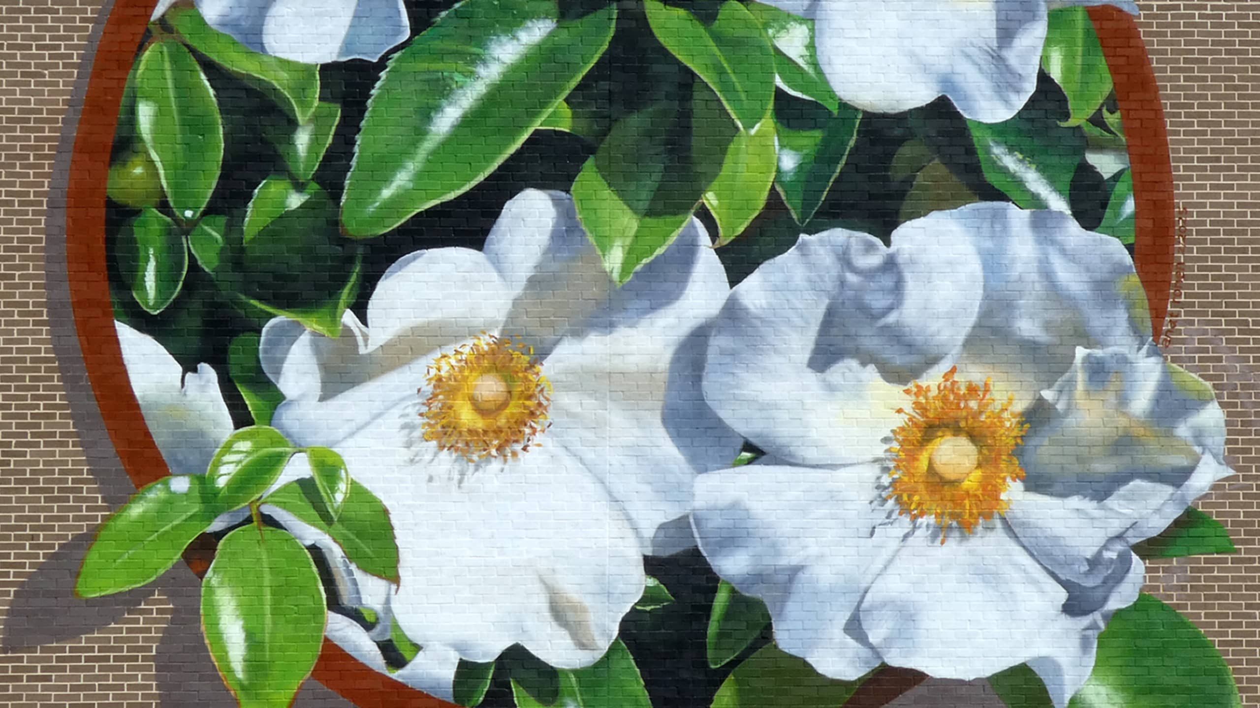 Anat Ronen's cover image