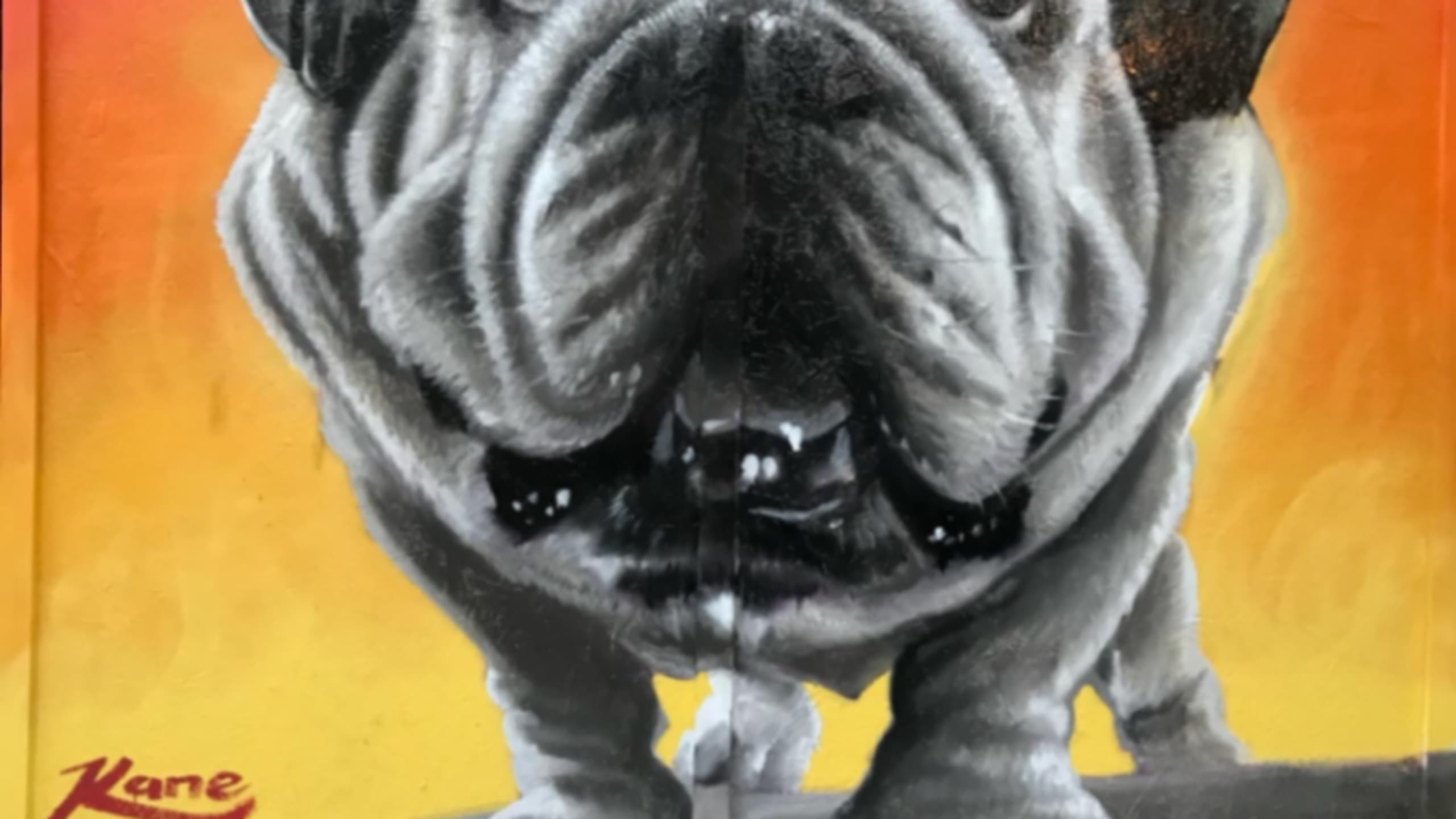 Kane's cover image