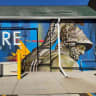 Heritage in Vivid Color and Form