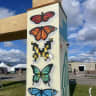 Digital Wings of Transformation