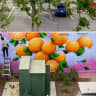 Citrus Dreams Under a Vibrant Sky